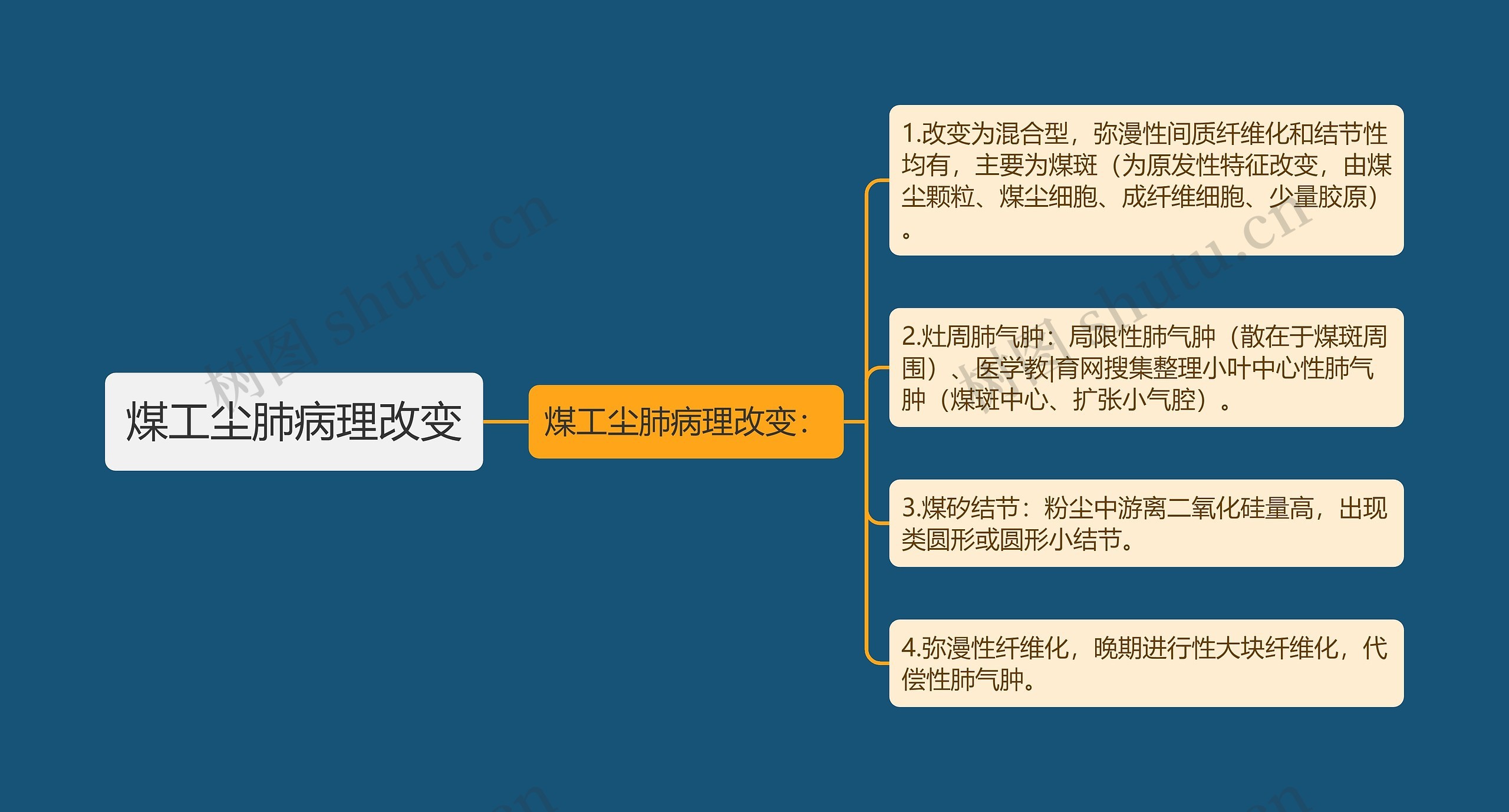 煤工尘肺病理改变思维导图