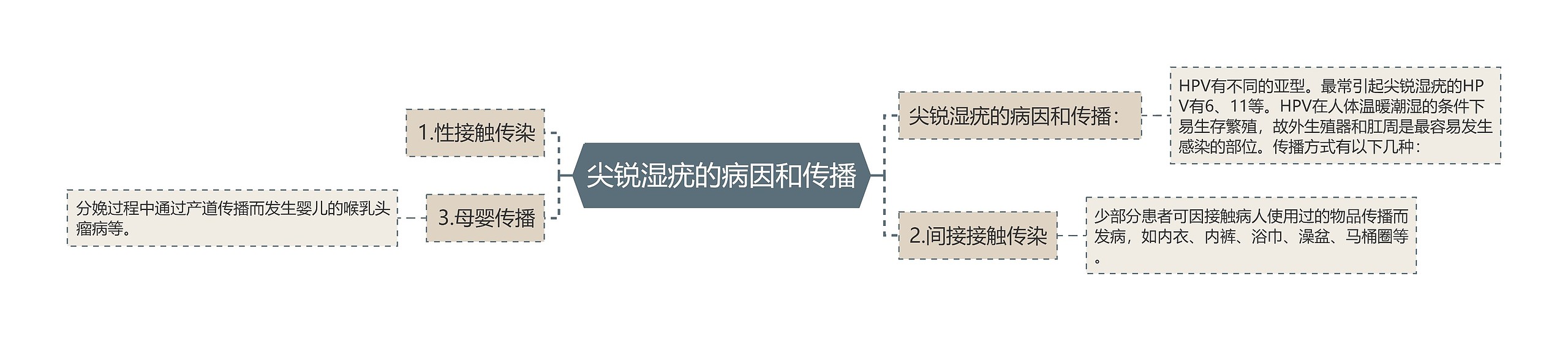 尖锐湿疣的病因和传播