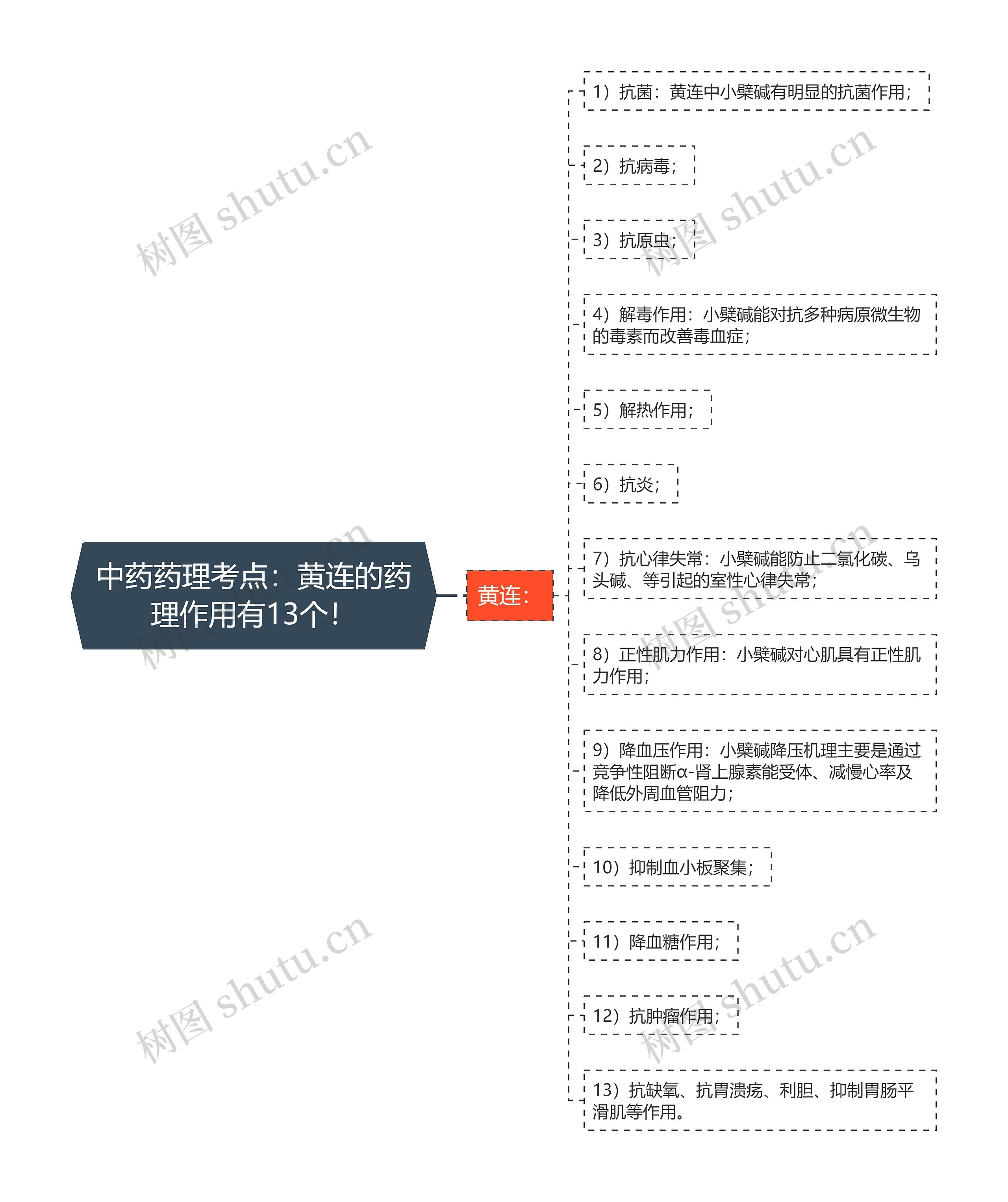 中药药理考点：黄连的药理作用有13个！思维导图