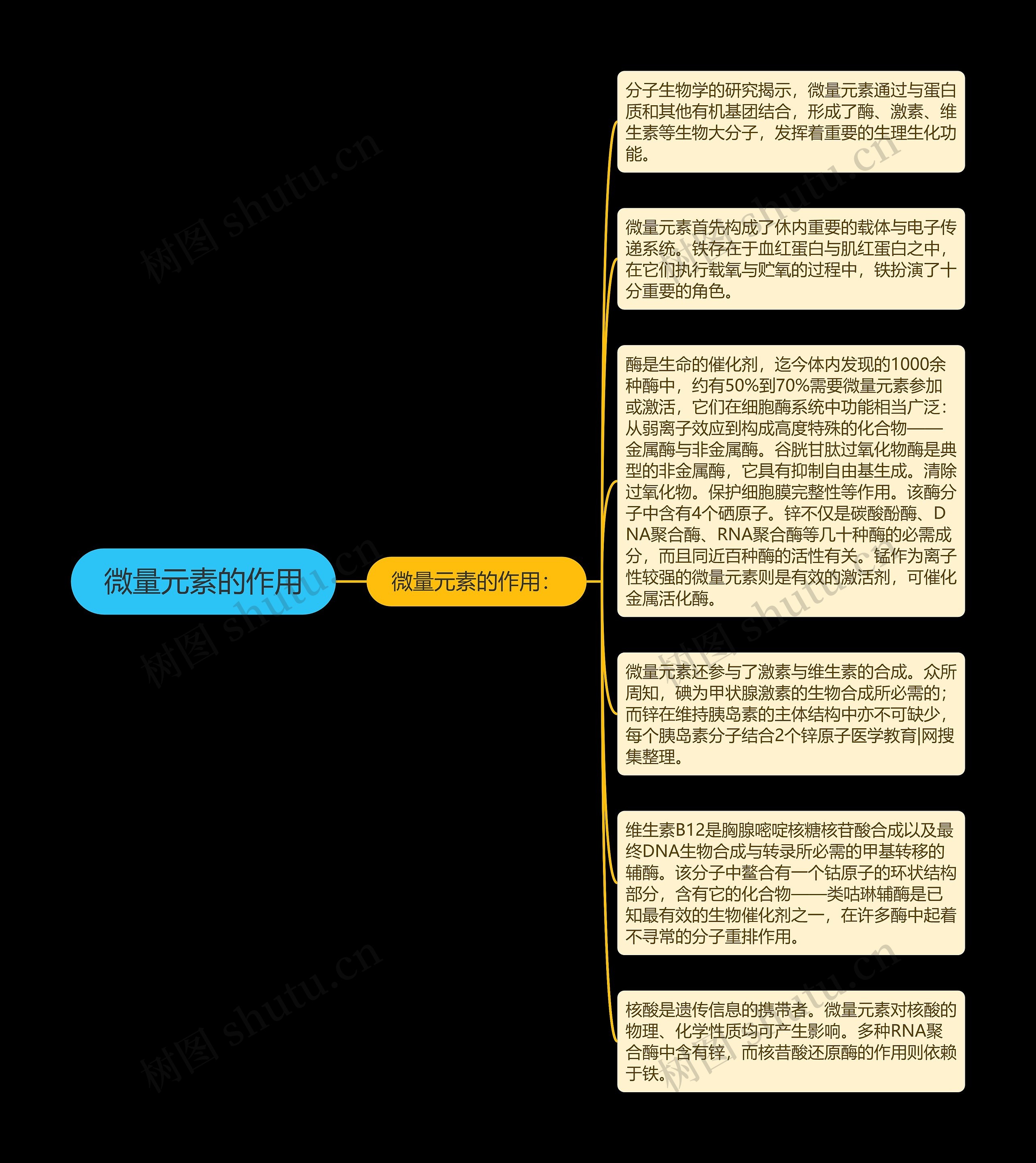 微量元素的作用思维导图