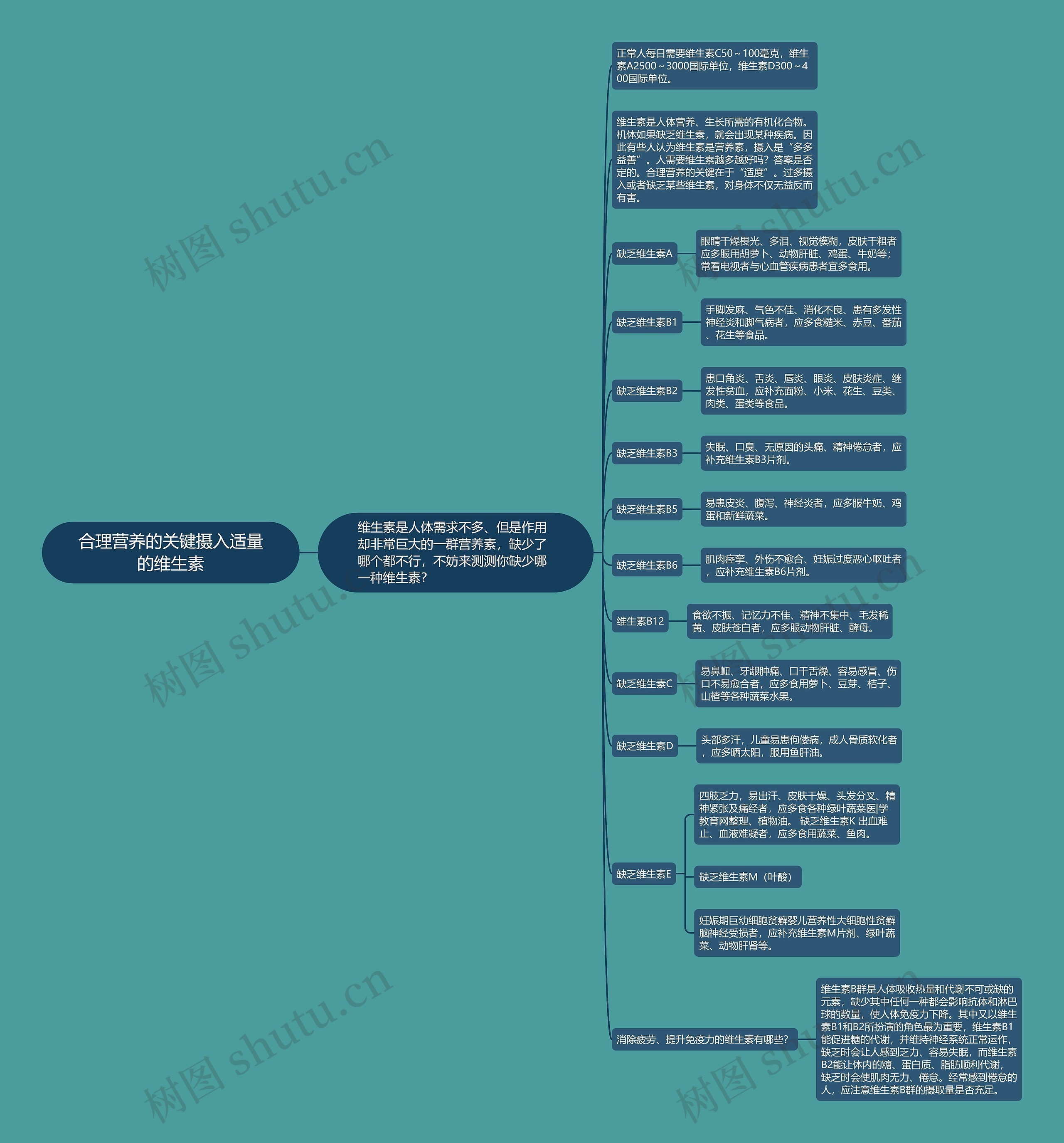 合理营养的关键摄入适量的维生素思维导图