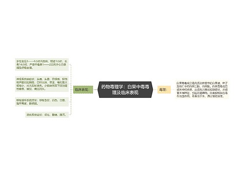 药物毒理学：白果中毒毒理及临床表现