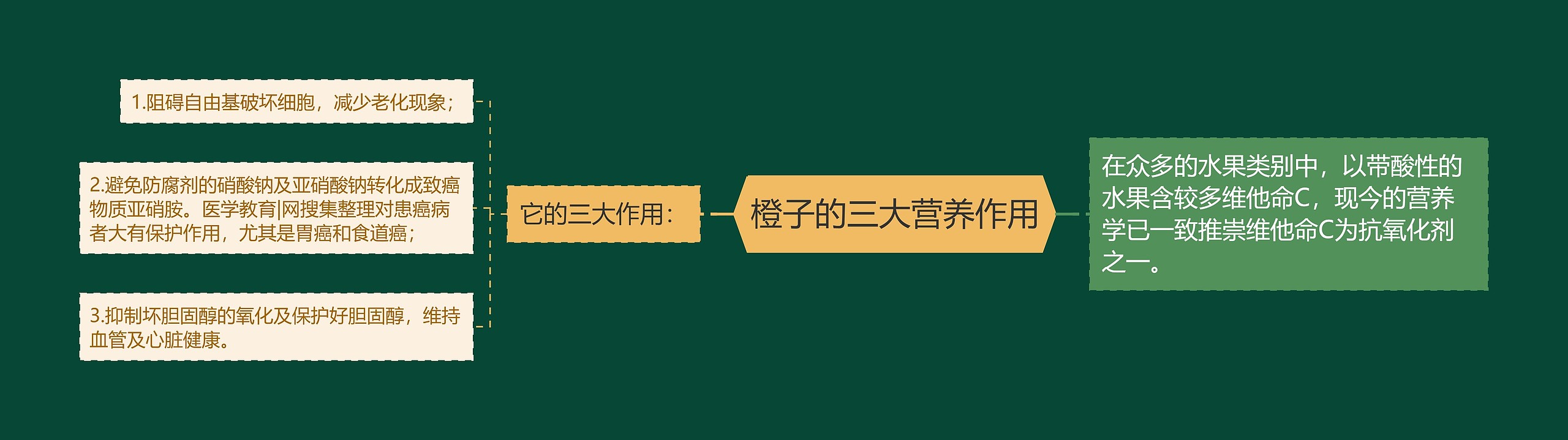 橙子的三大营养作用思维导图