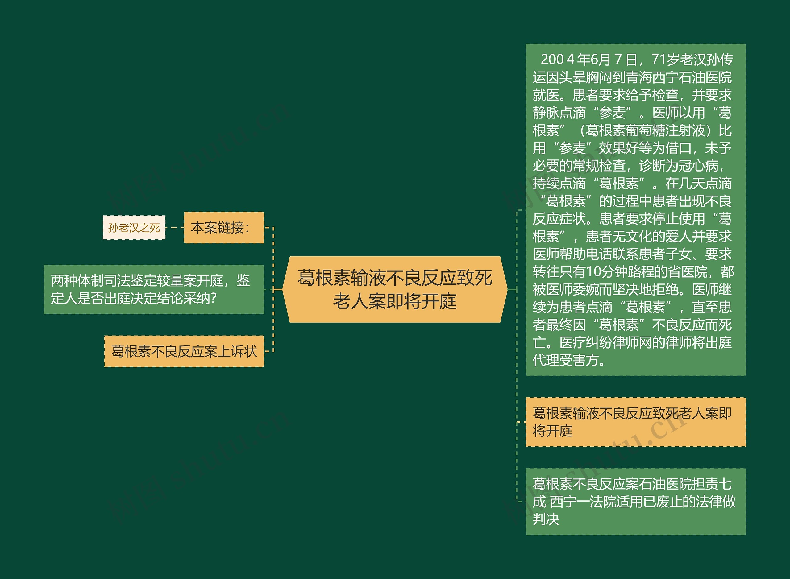 葛根素输液不良反应致死老人案即将开庭思维导图