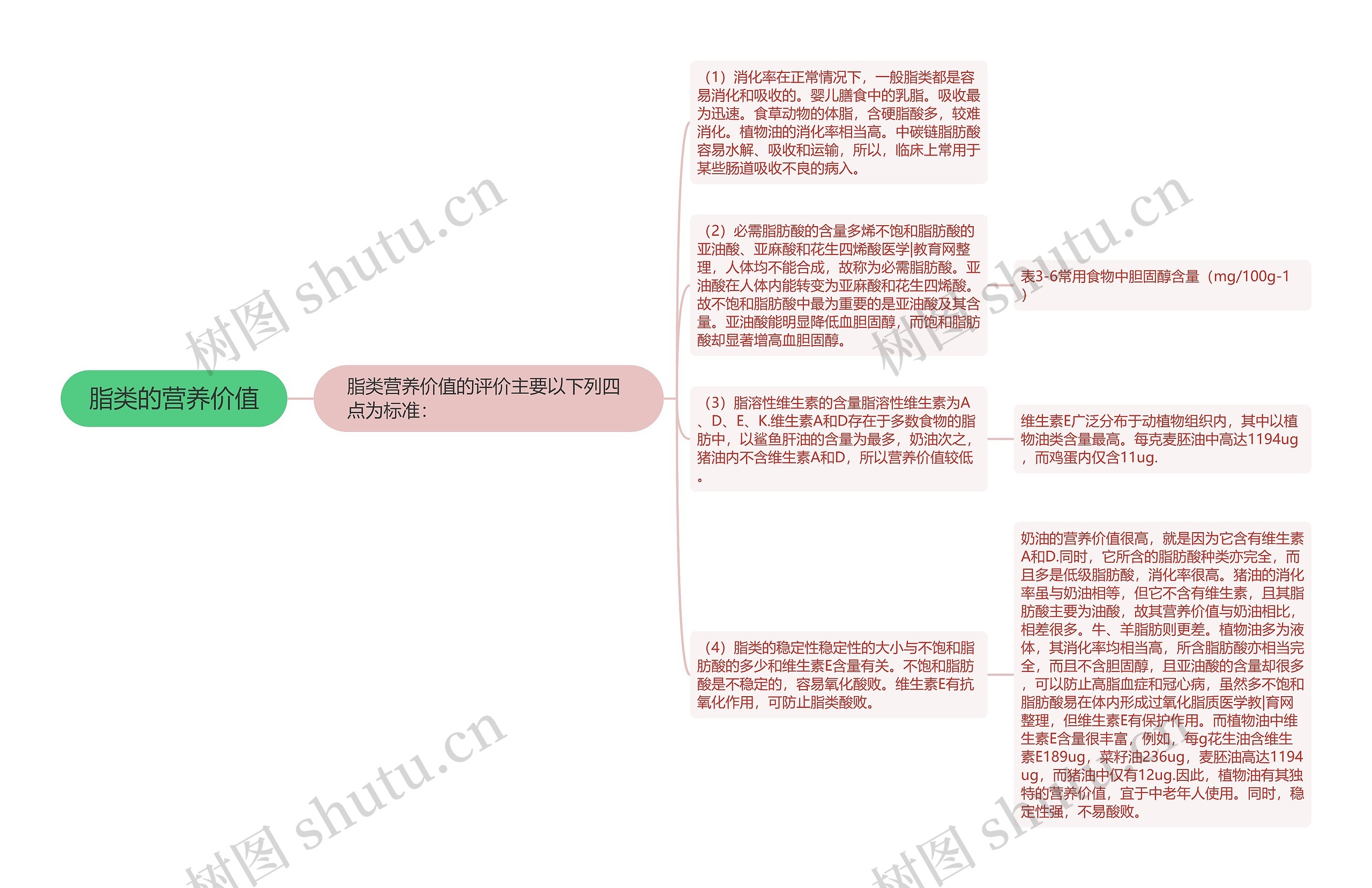 脂类的营养价值思维导图