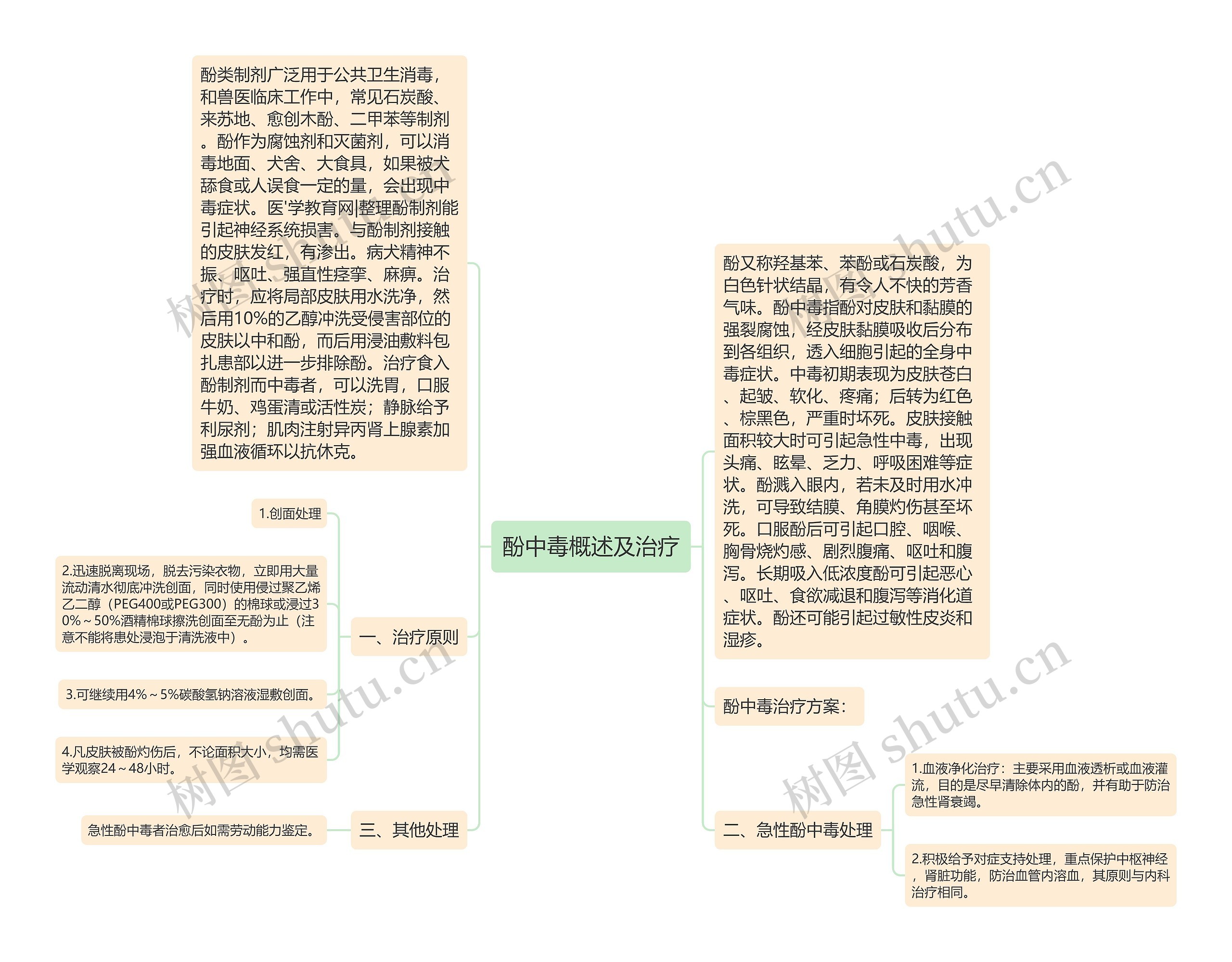 酚中毒概述及治疗