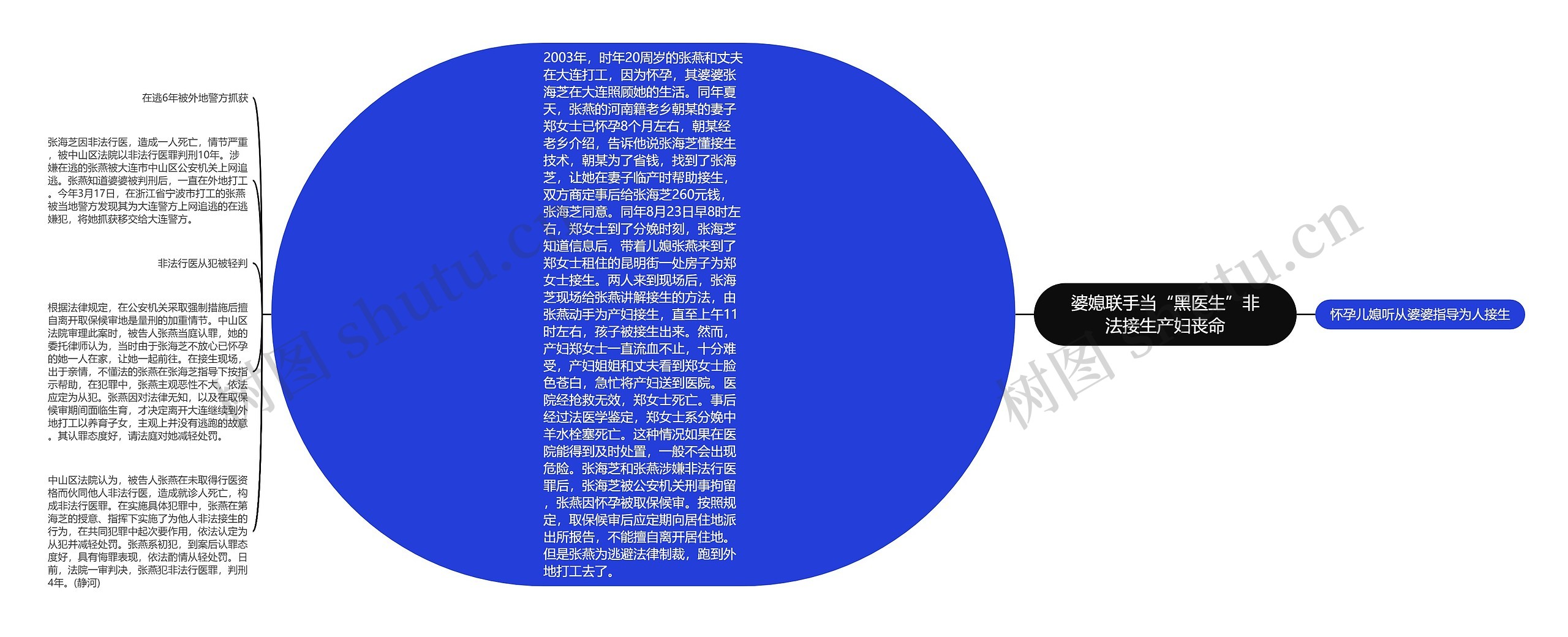 婆媳联手当“黑医生”非法接生产妇丧命思维导图