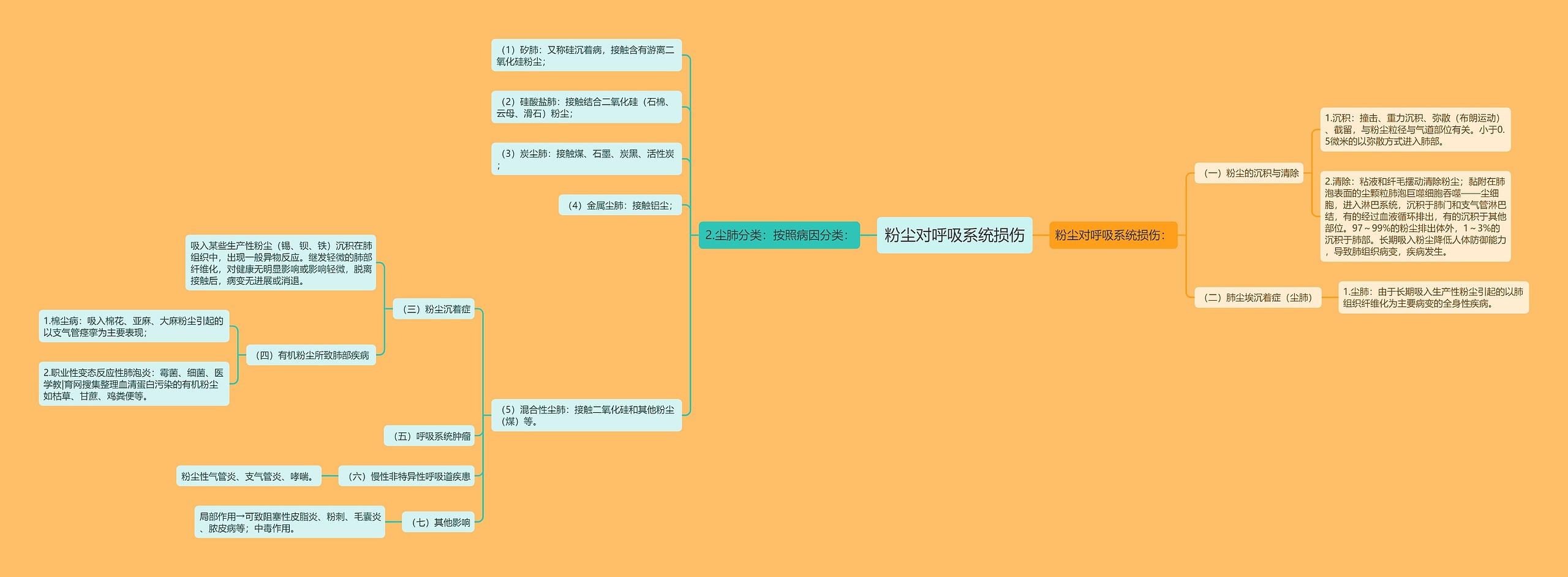 粉尘对呼吸系统损伤思维导图