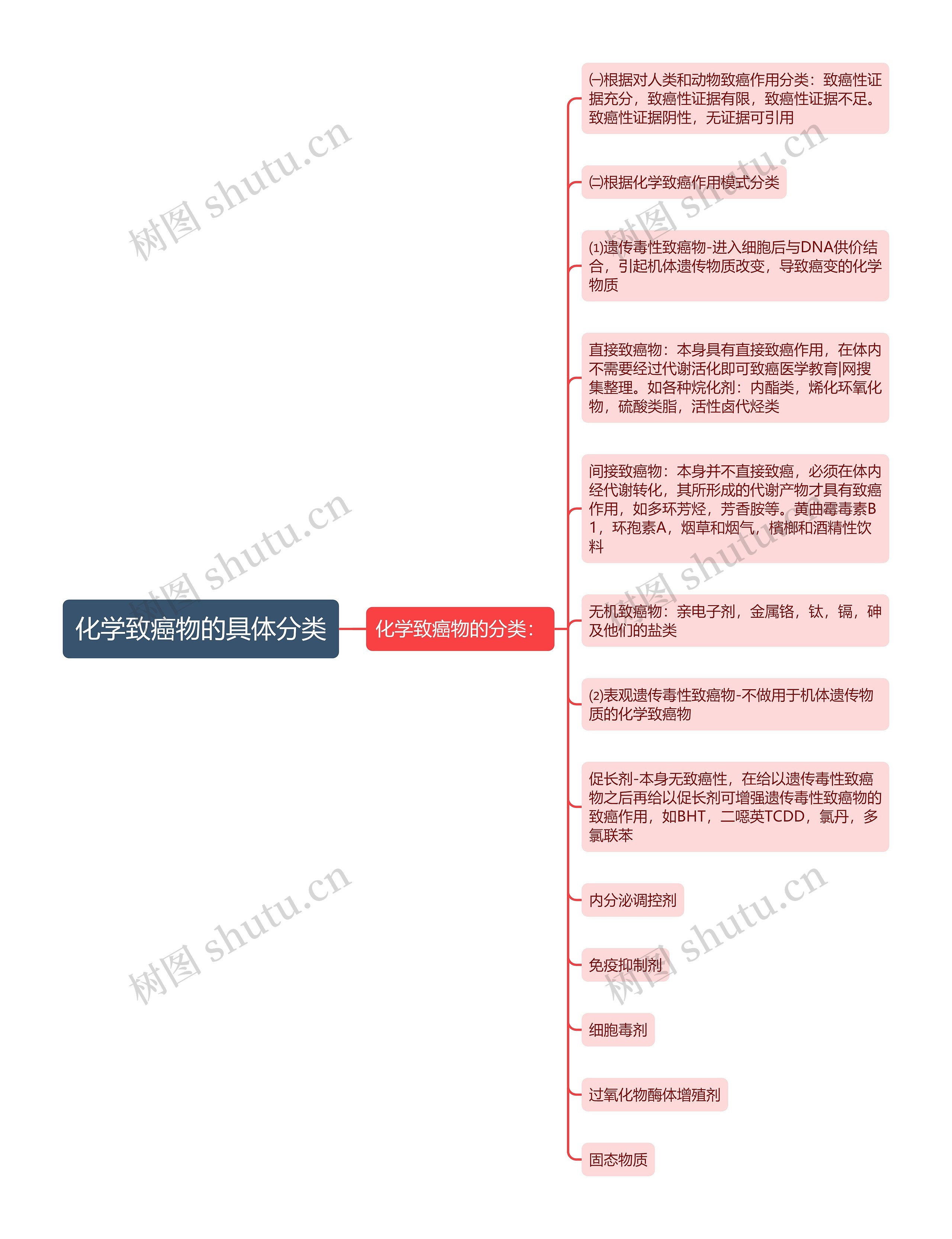 化学致癌物的具体分类思维导图