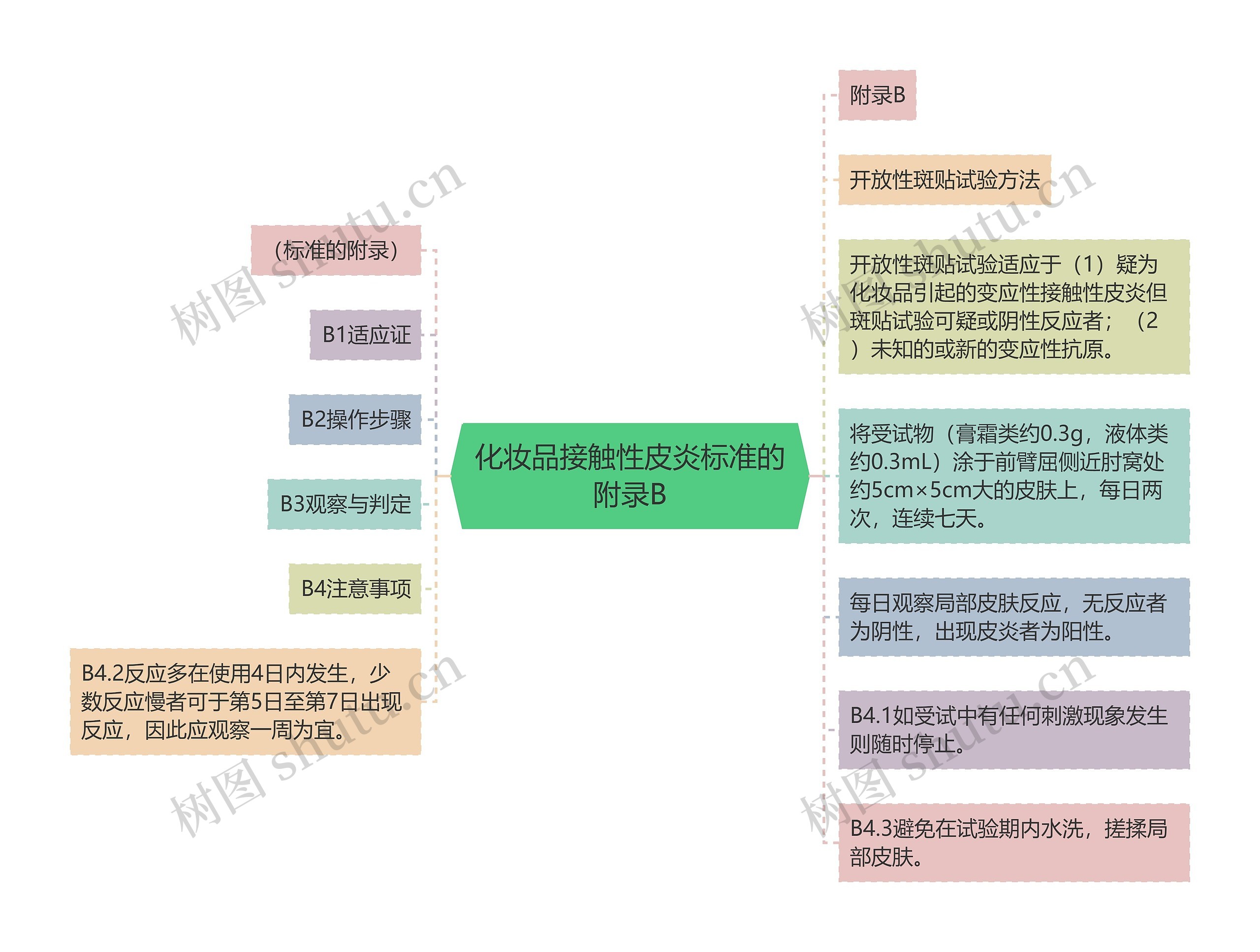 化妆品接触性皮炎标准的附录B思维导图