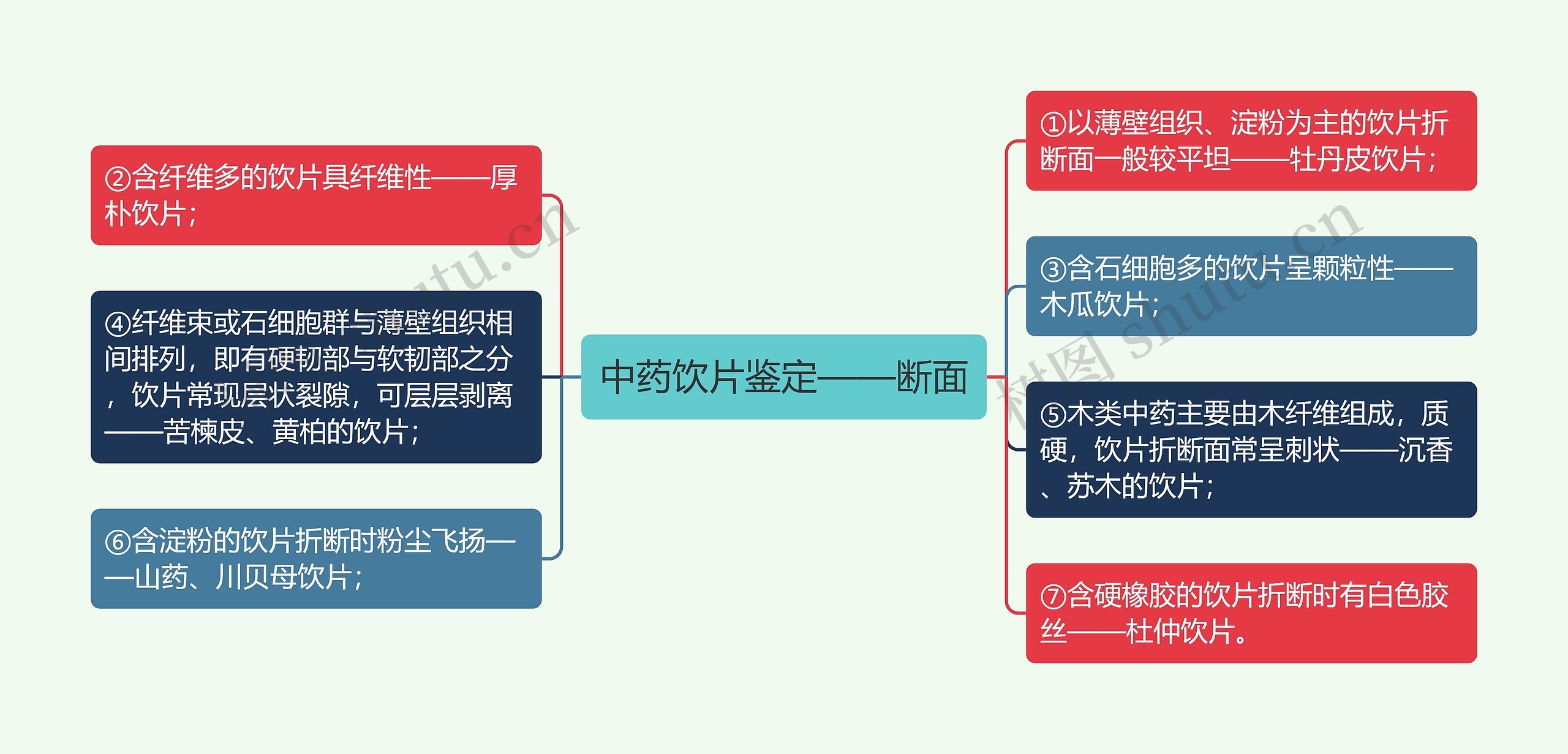 中药饮片鉴定——断面思维导图