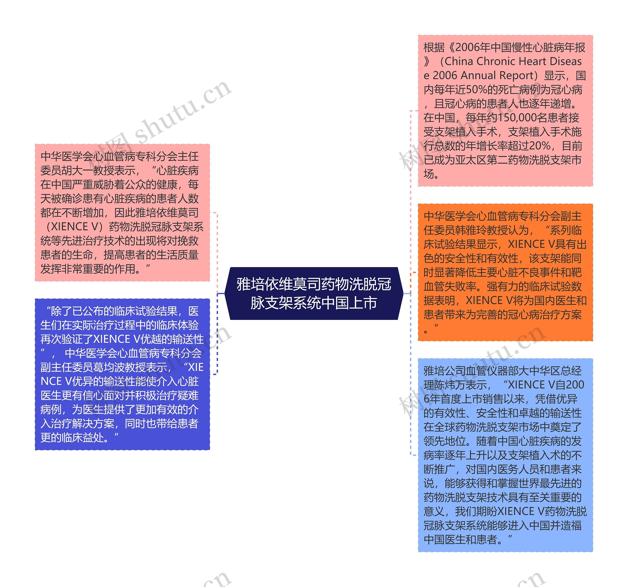 雅培依维莫司药物洗脱冠脉支架系统中国上市思维导图