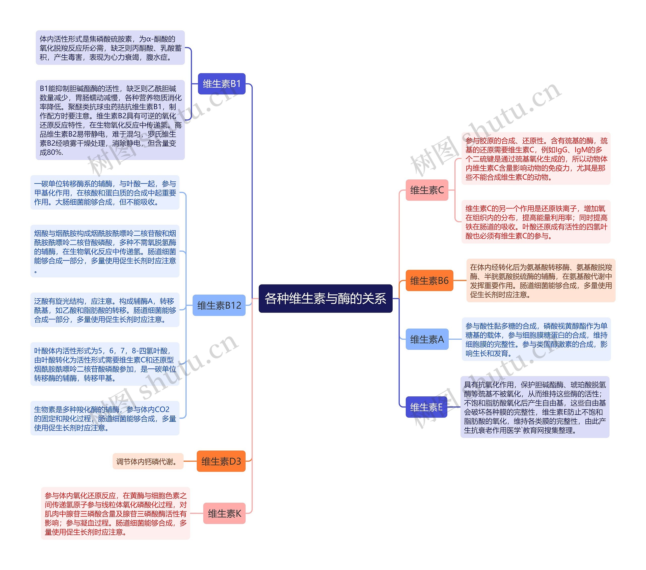 各种维生素与酶的关系思维导图