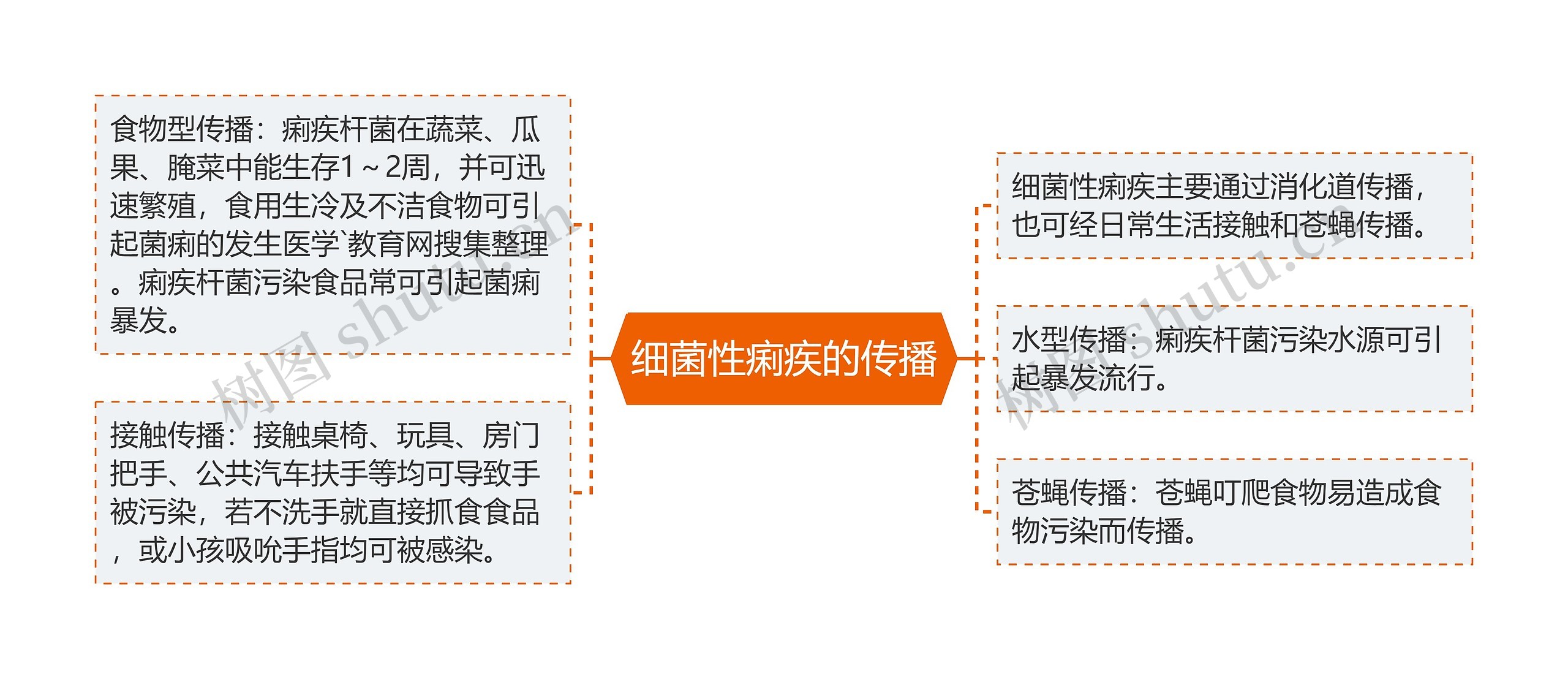 细菌性痢疾的传播 细菌性痢疾的传播