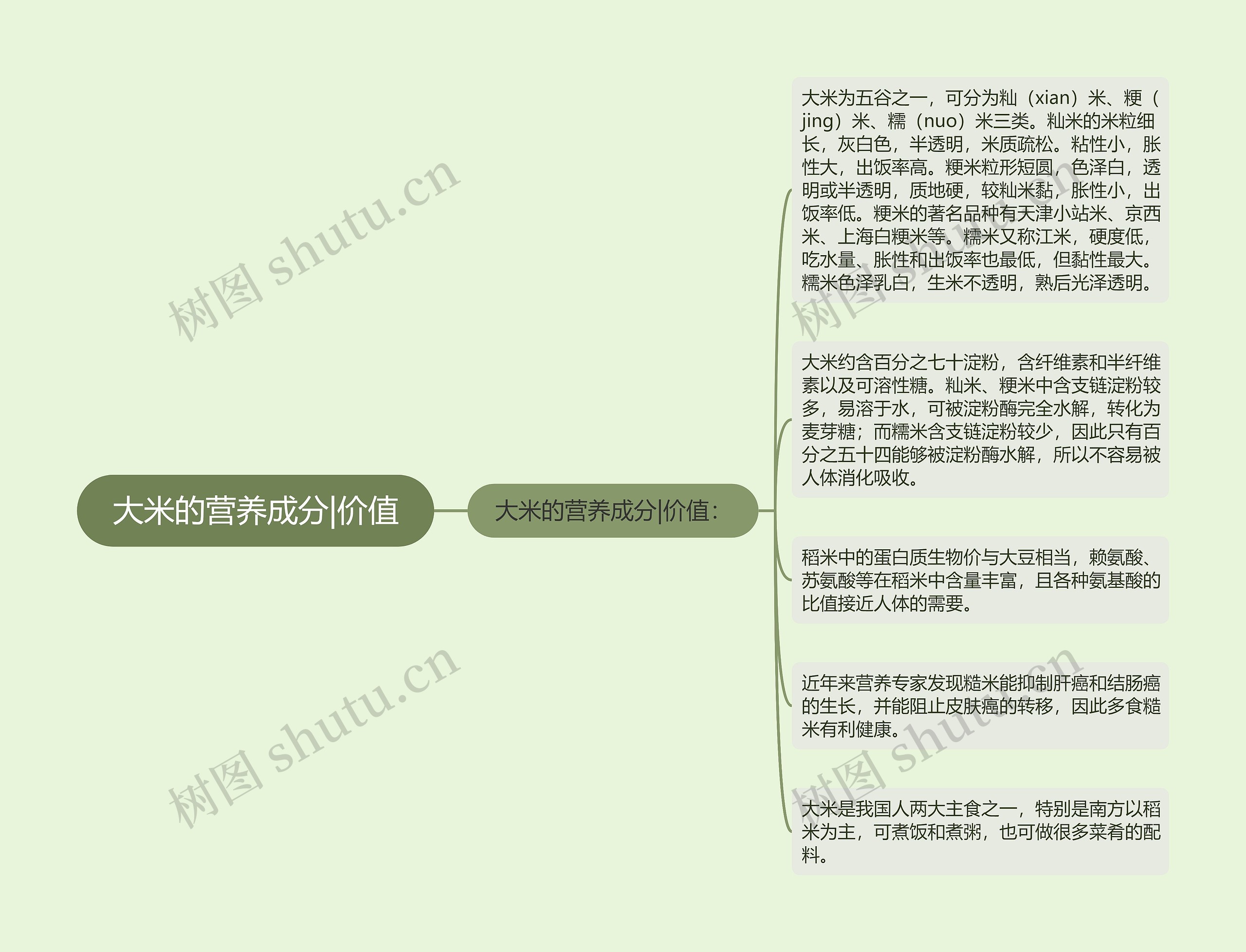 大米的营养成分|价值思维导图