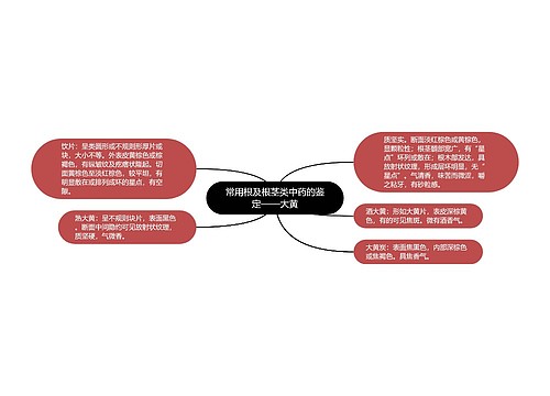 常用根及根茎类中药的鉴定——大黄