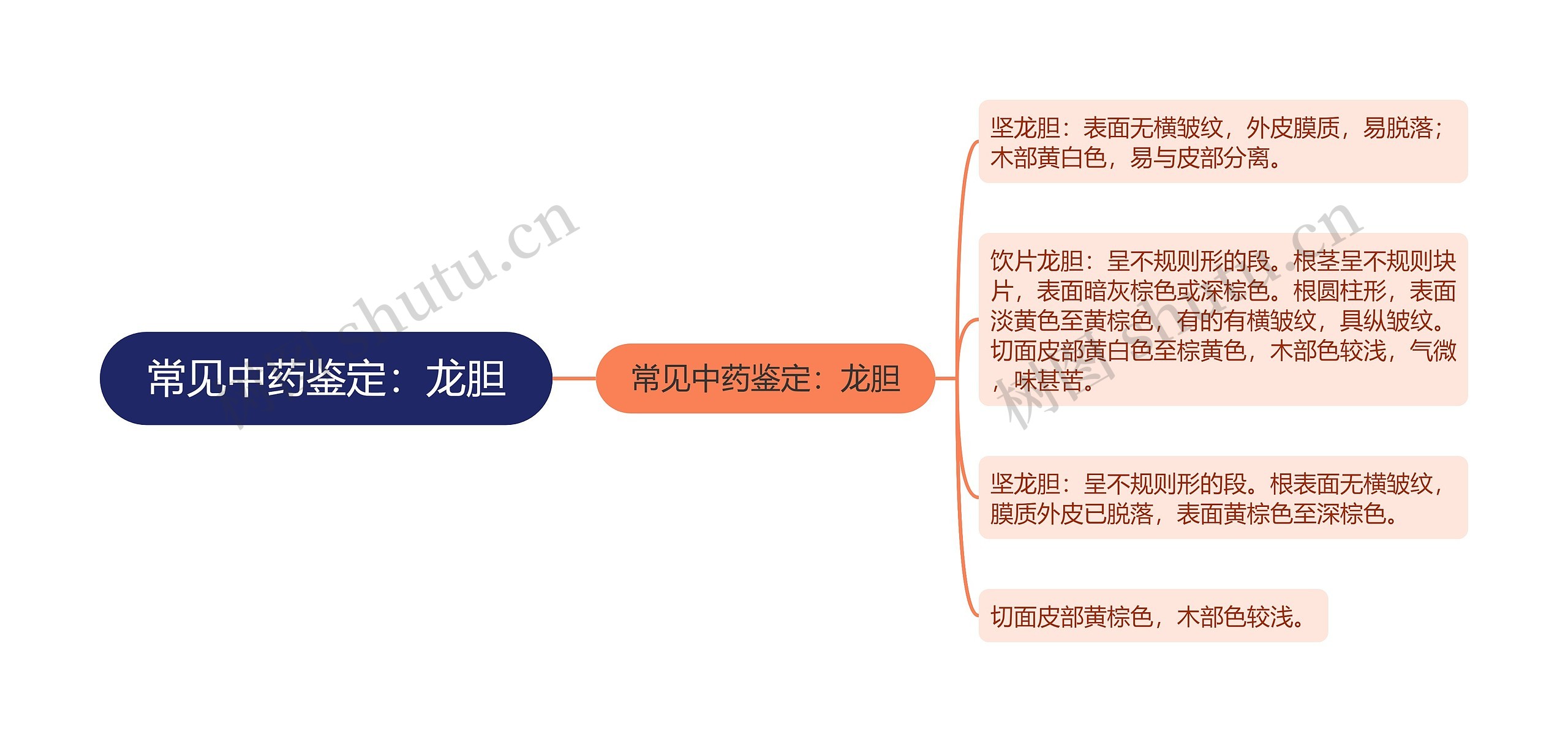 常见中药鉴定：龙胆思维导图