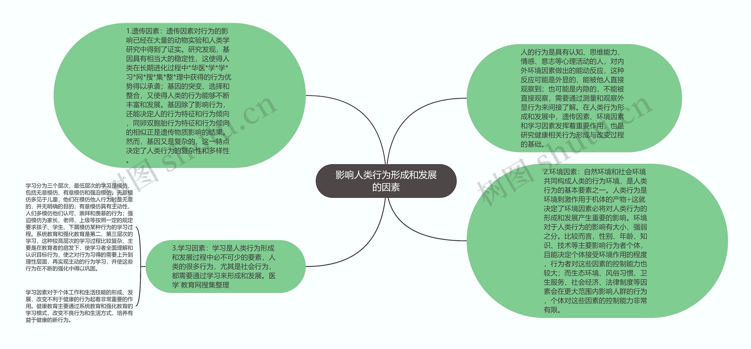 影响人类行为形成和发展的因素