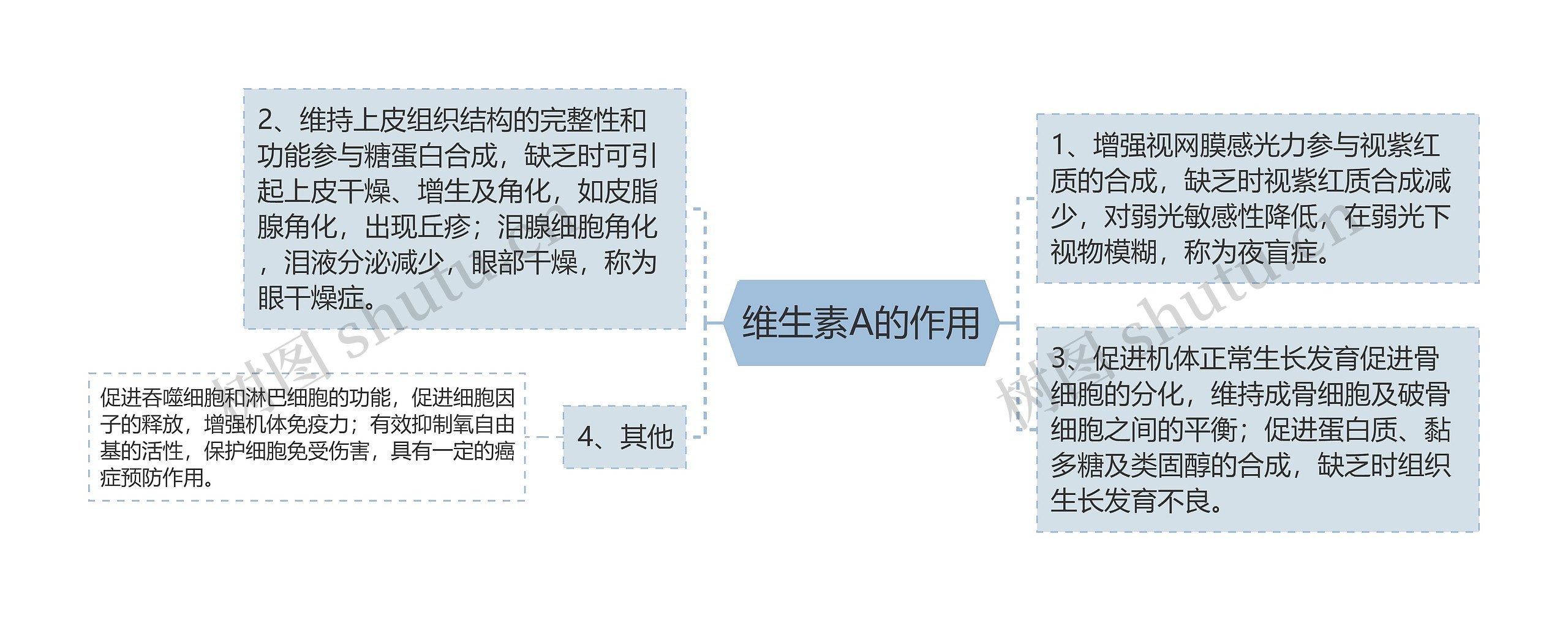 维生素A的作用思维导图