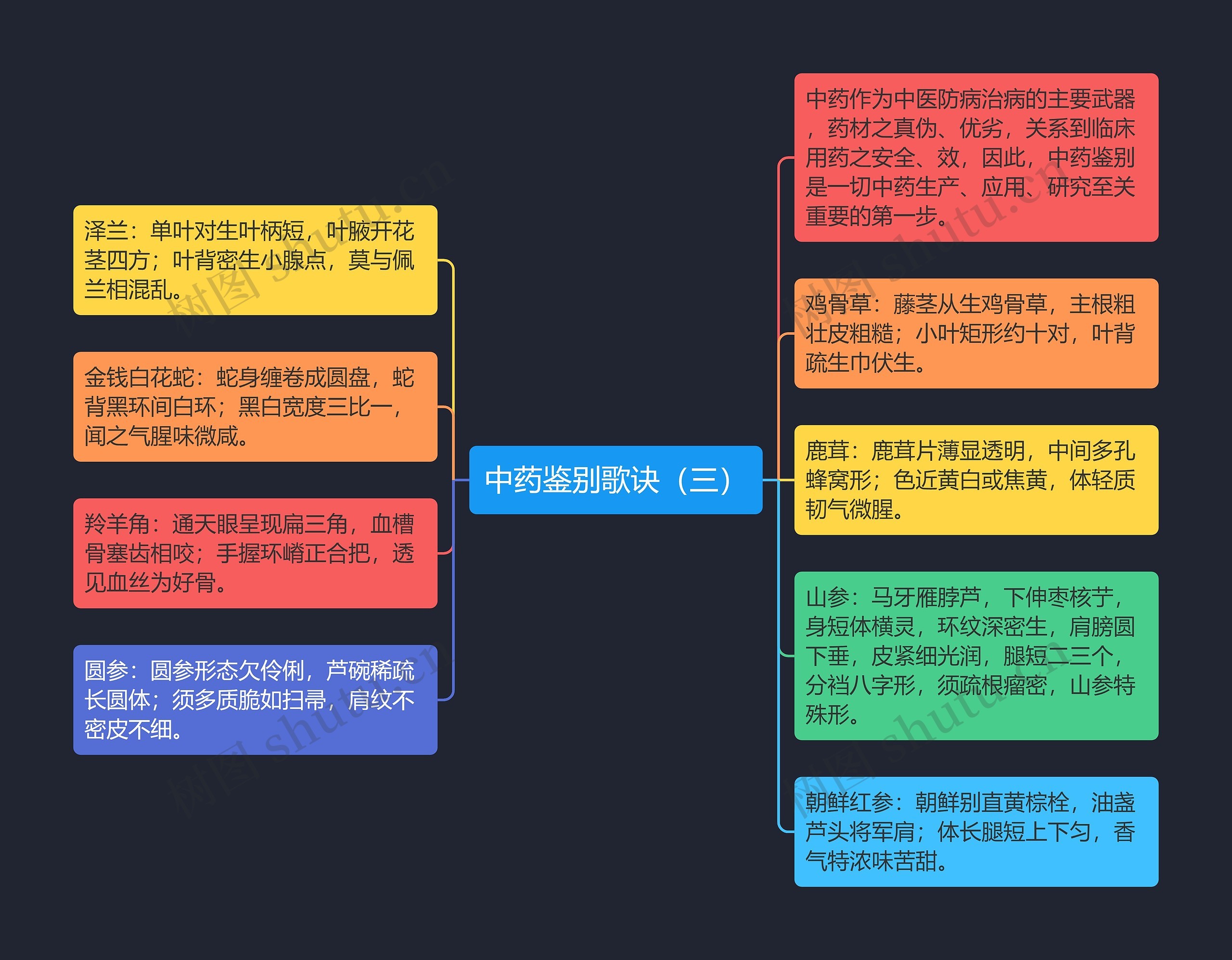 中药鉴别歌诀（三）思维导图