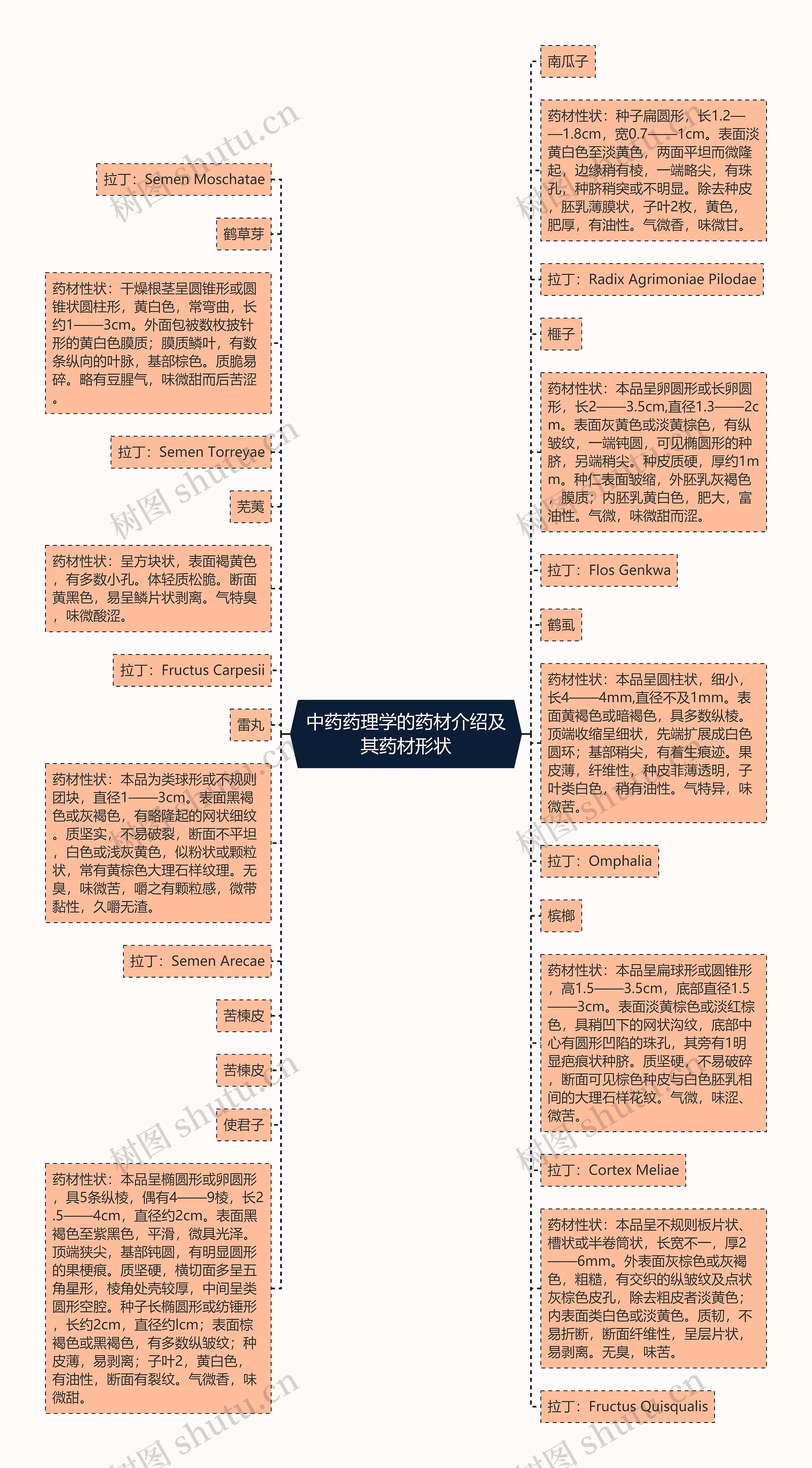 中药药理学的药材介绍及其药材形状思维导图