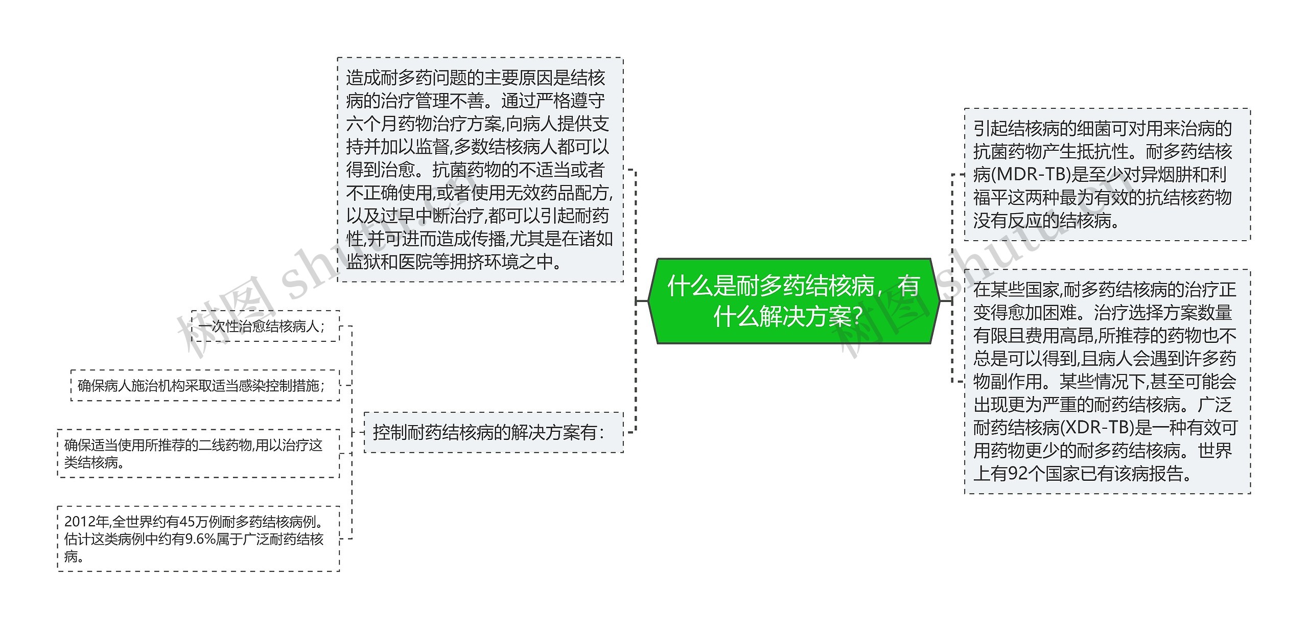 什么是耐多药结核病，有什么解决方案？思维导图