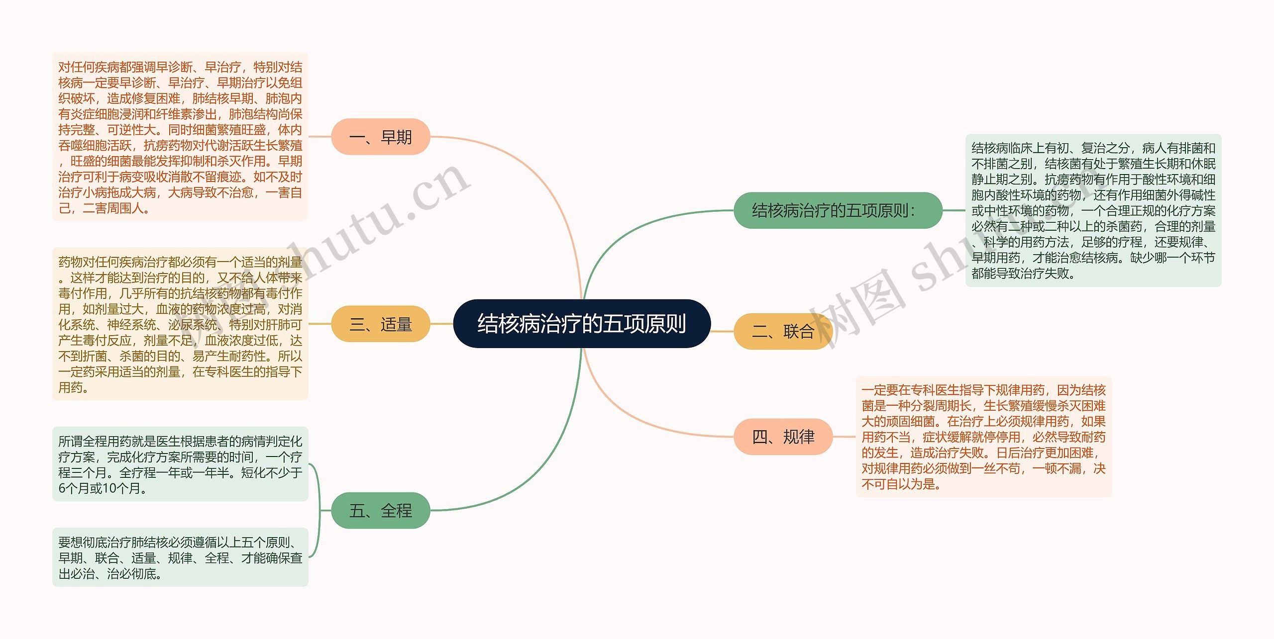 结核病治疗的五项原则思维导图