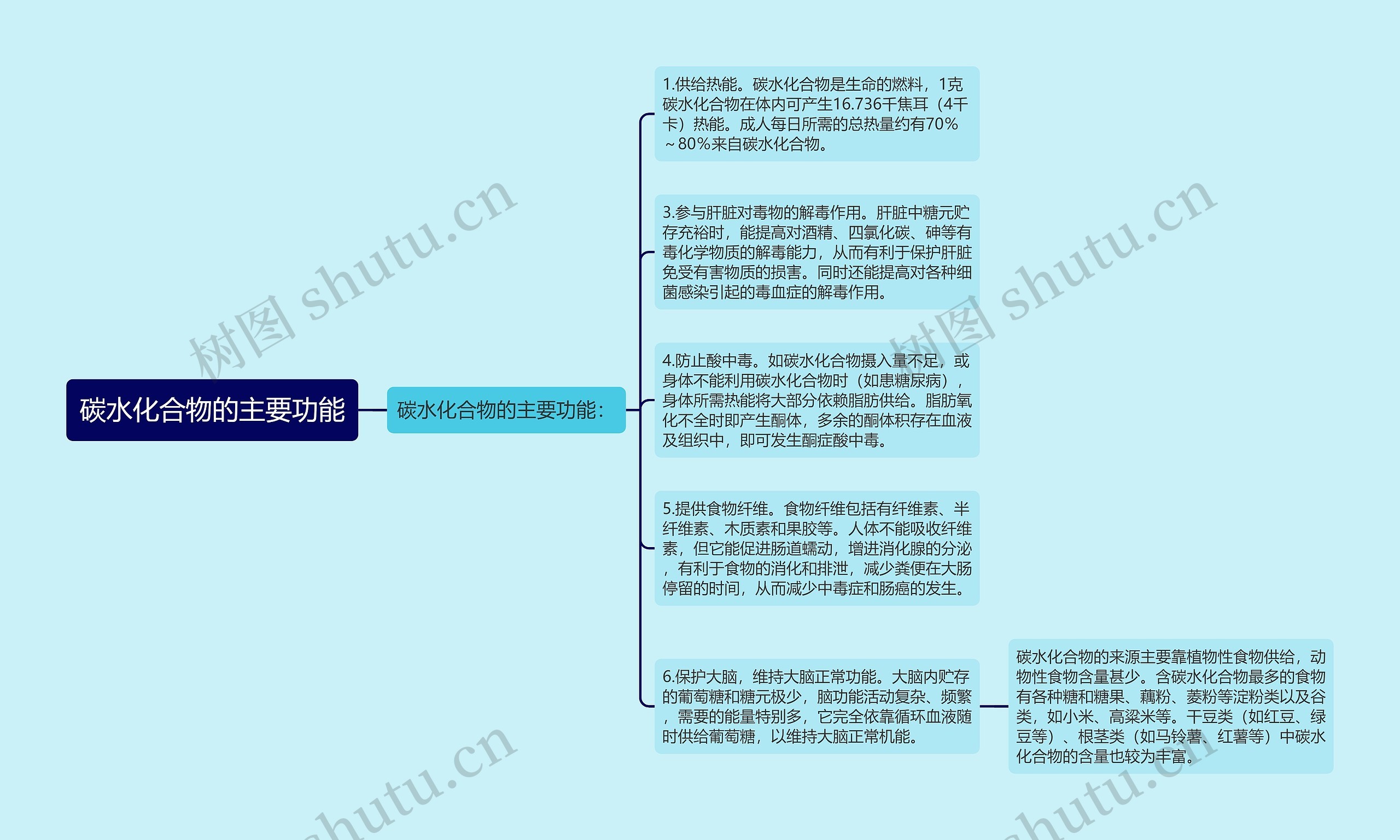 碳水化合物的主要功能思维导图