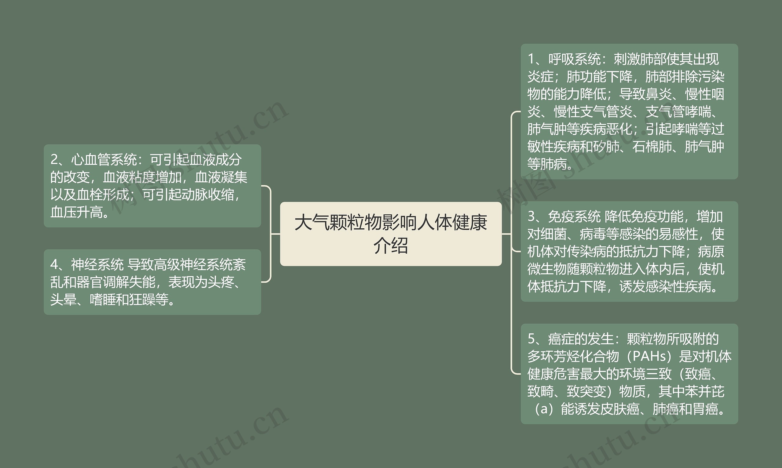 大气颗粒物影响人体健康介绍思维导图