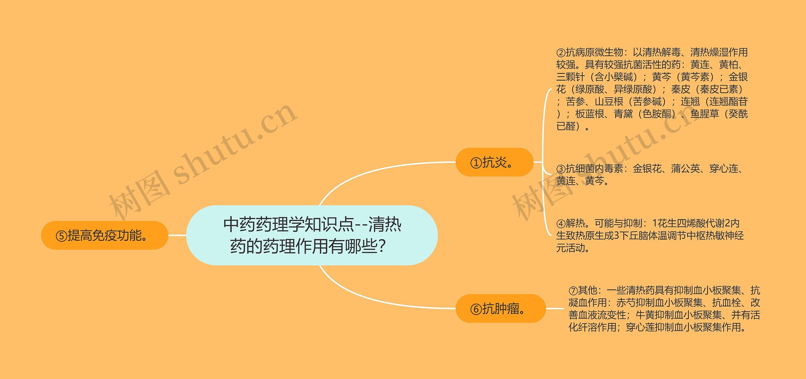 中药药理学知识点--清热药的药理作用有哪些？思维导图