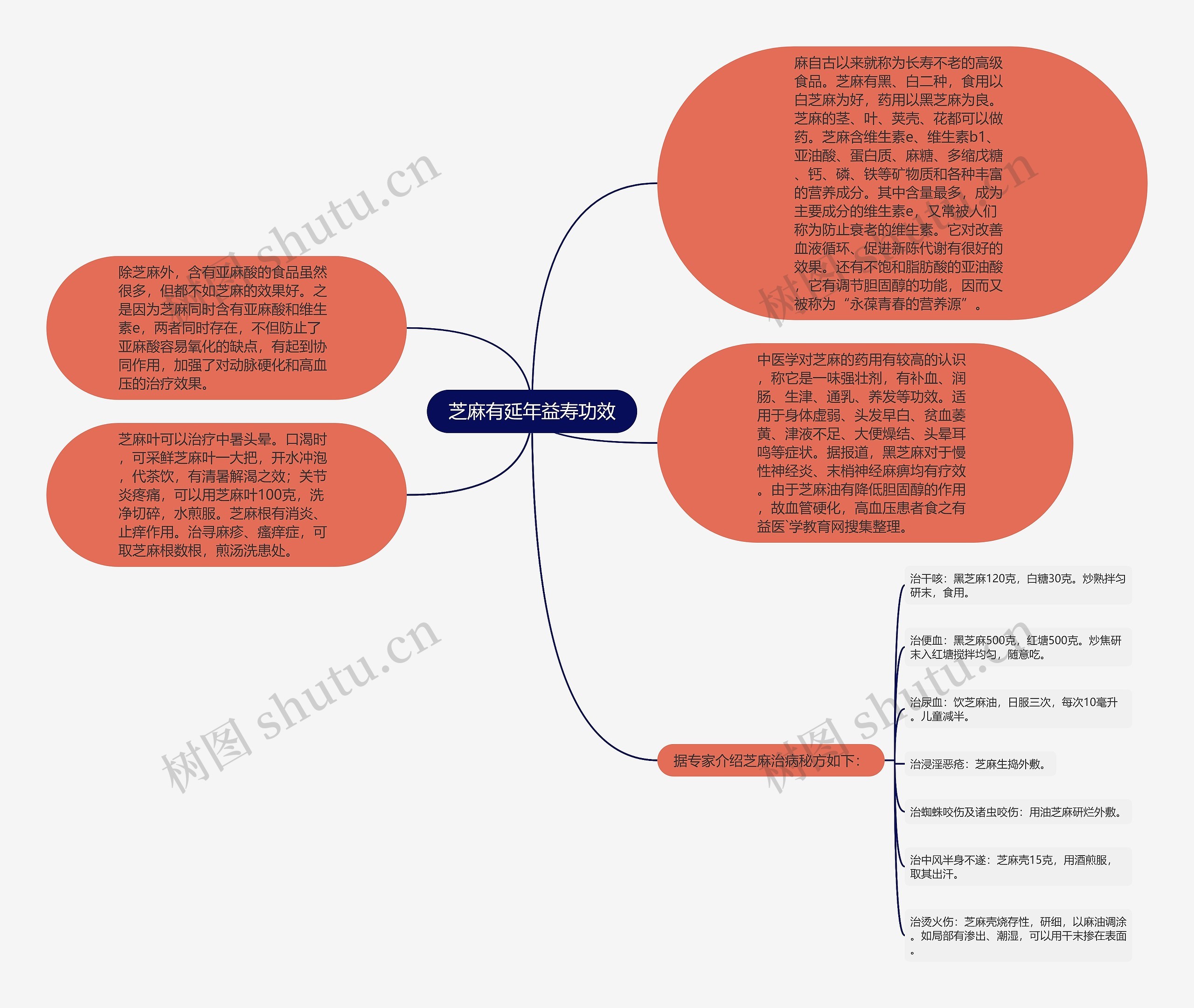 芝麻有延年益寿功效思维导图