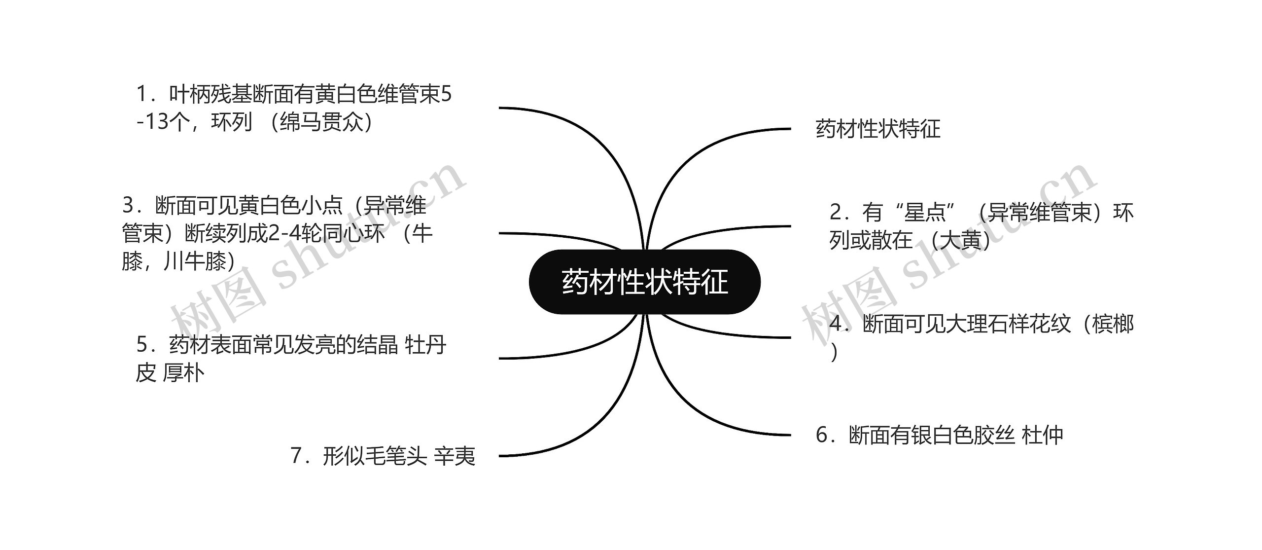 药材性状特征思维导图