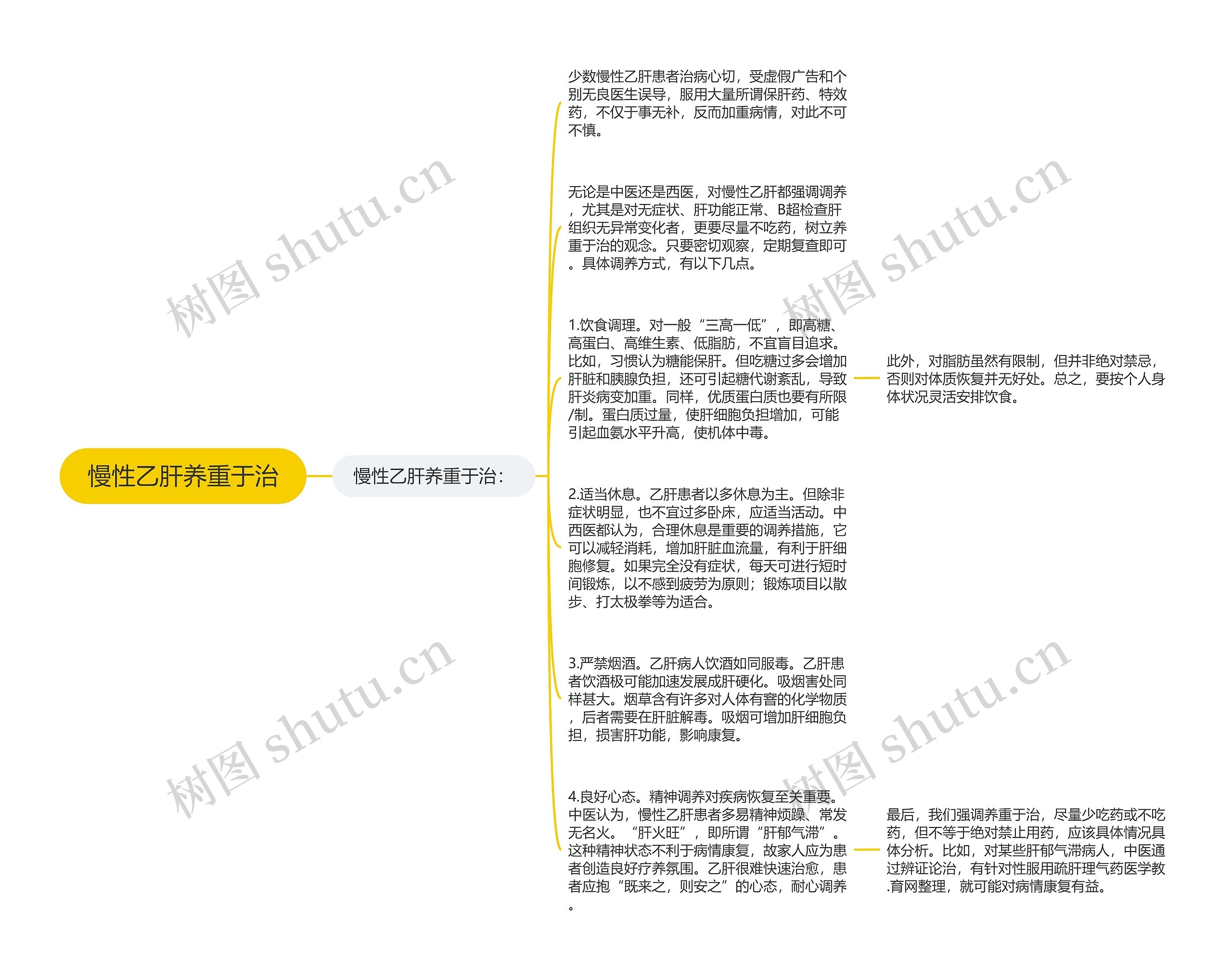 慢性乙肝养重于治思维导图