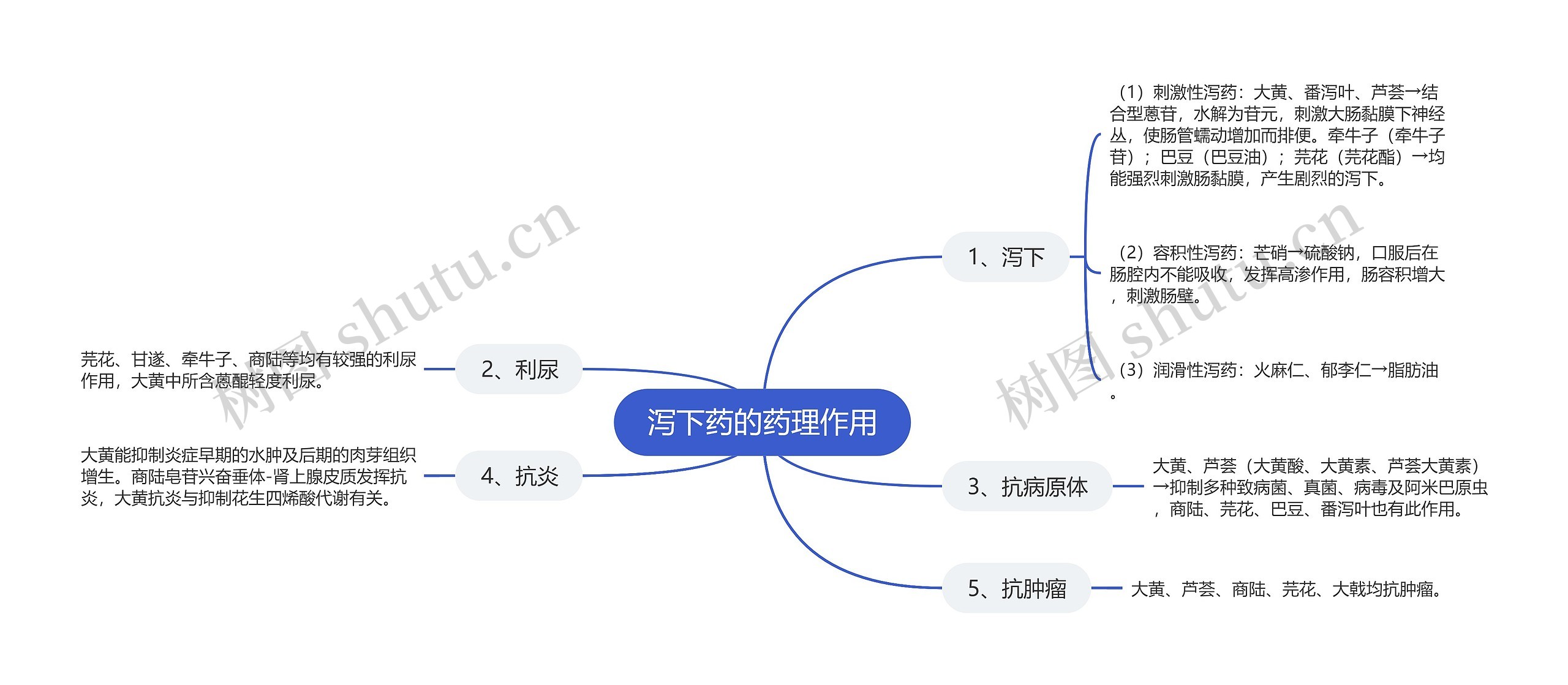 泻下药的药理作用思维导图