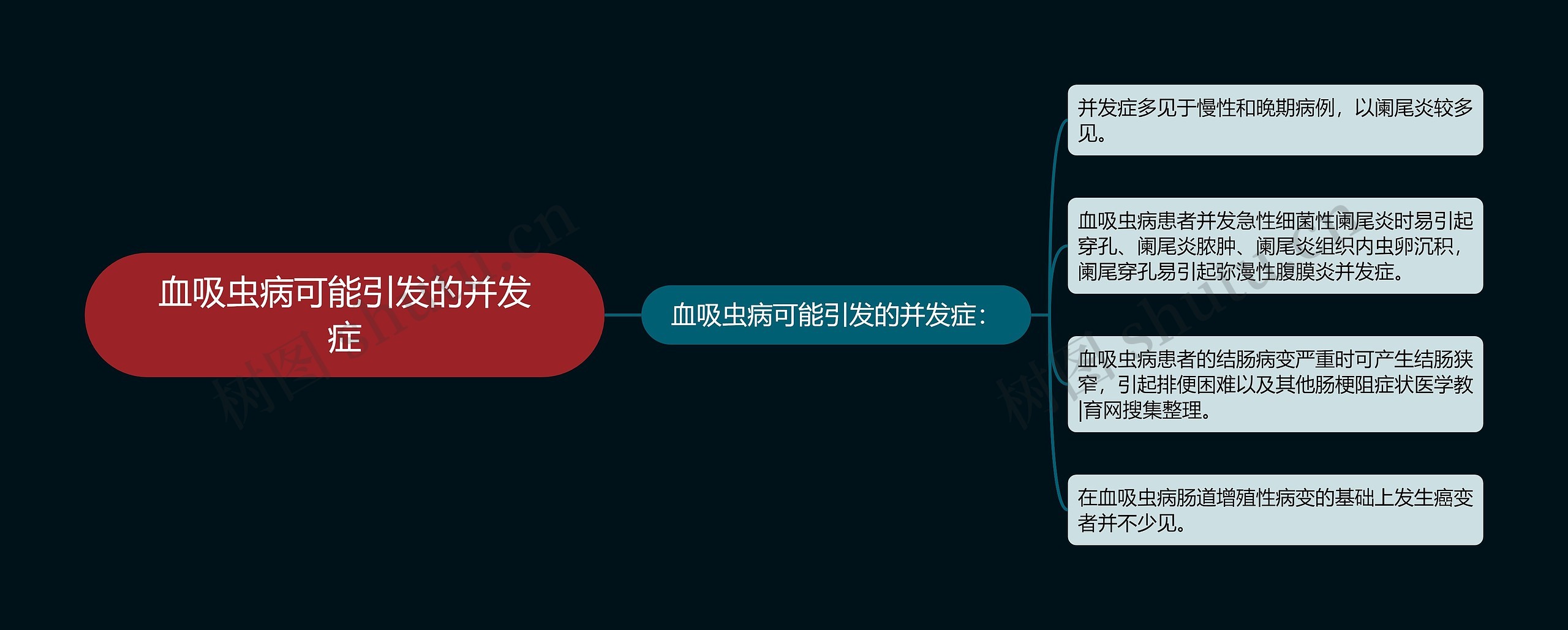 血吸虫病可能引发的并发症思维导图