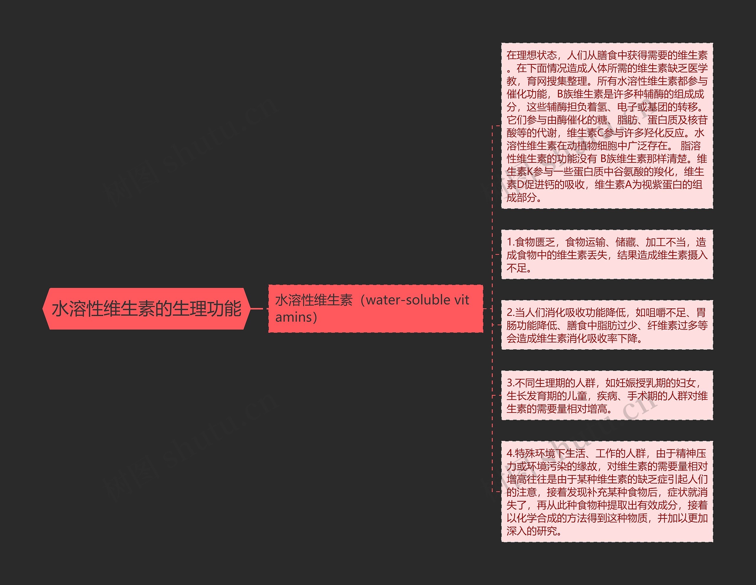 水溶性维生素的生理功能思维导图