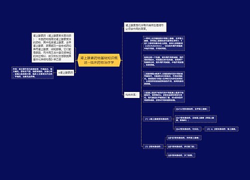 ​肾上腺素药物基础知识概述--临床药物治疗学