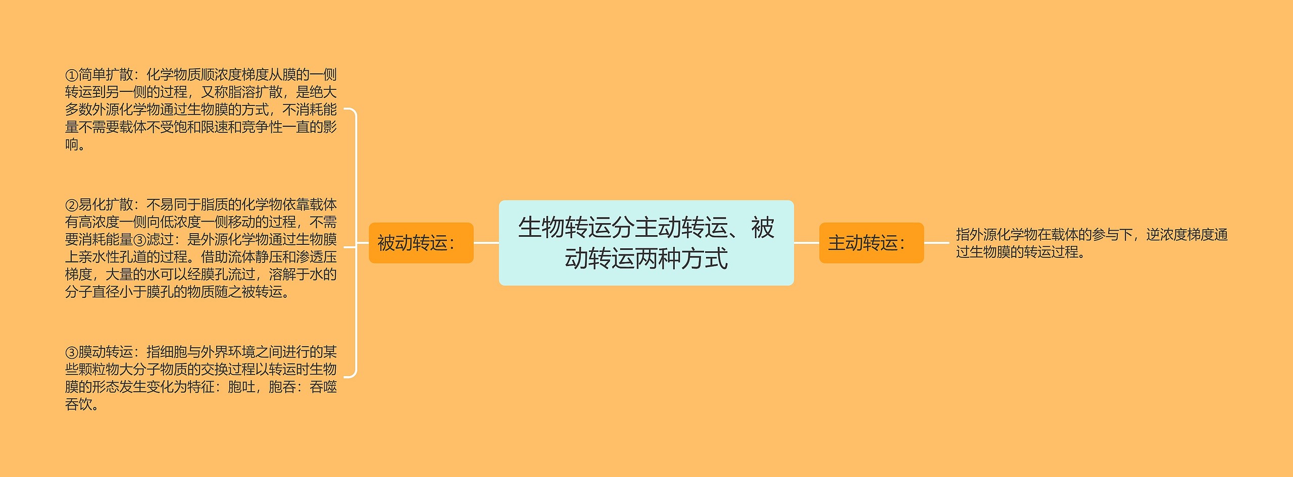 生物转运分主动转运、被动转运两种方式