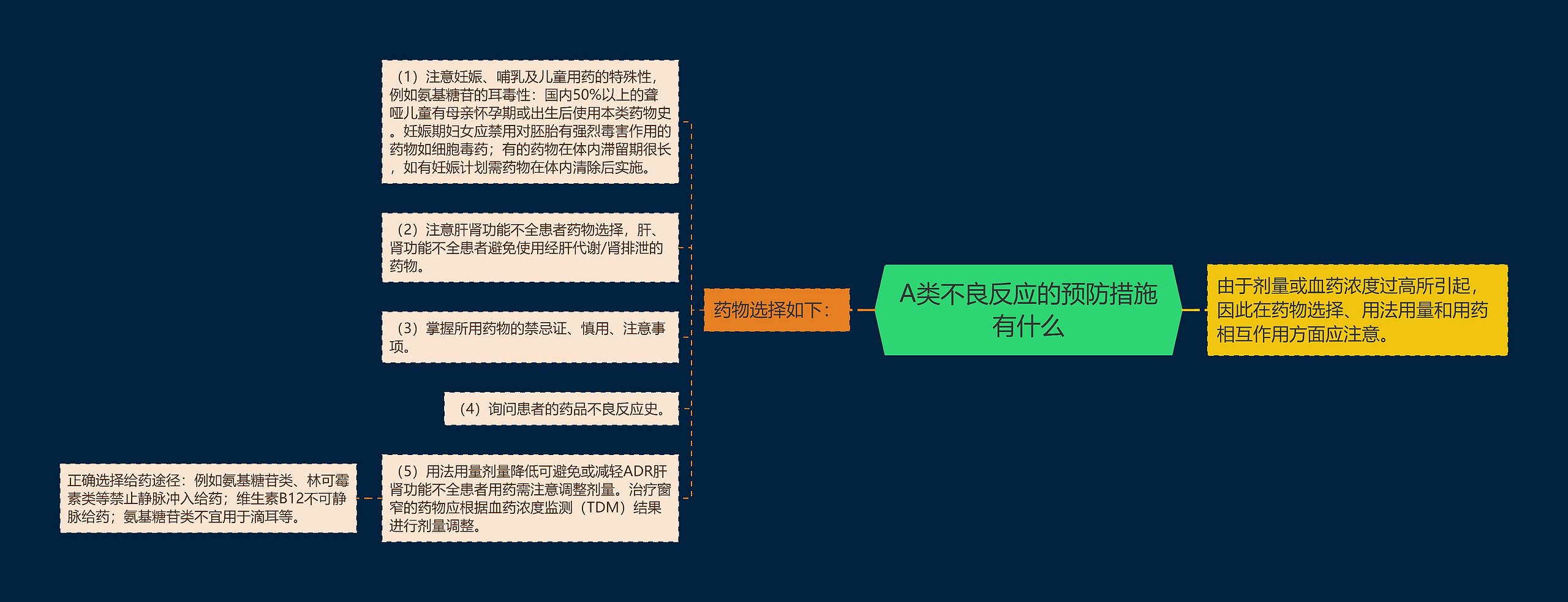 A类不良反应的预防措施有什么思维导图