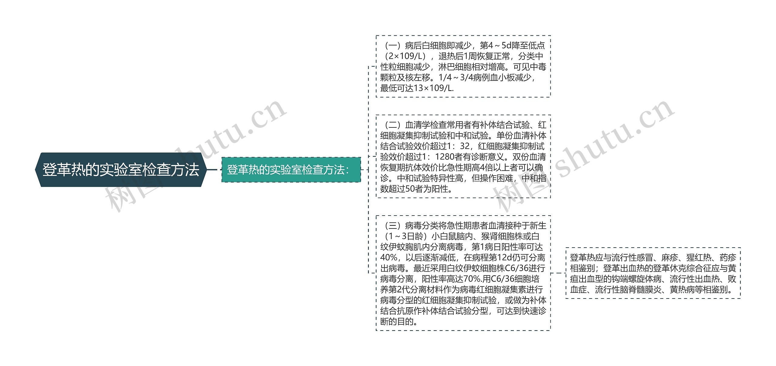 登革热的实验室检查方法思维导图