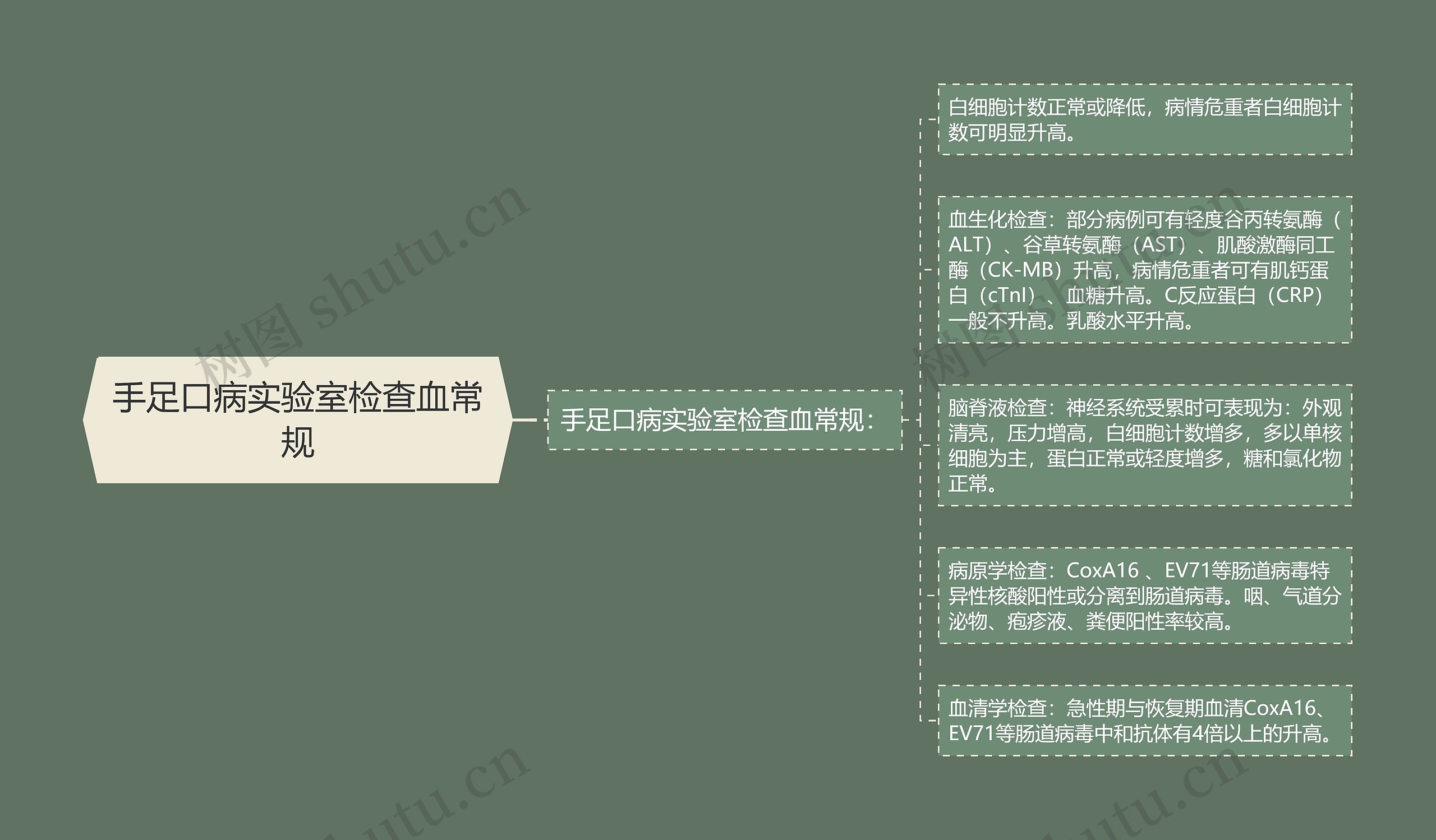 手足口病实验室检查血常规 手足口病实验室检查血常规