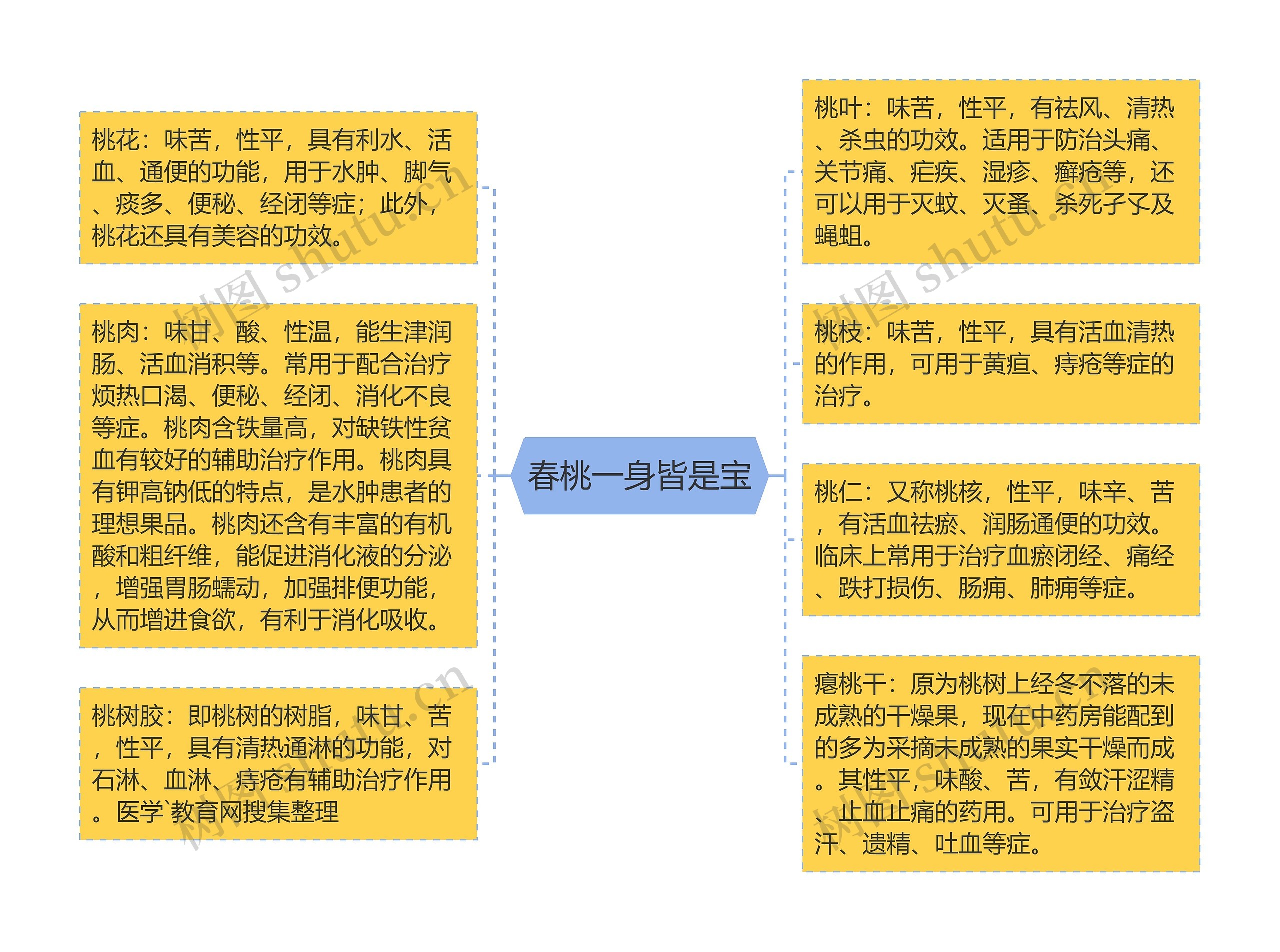 春桃一身皆是宝思维导图