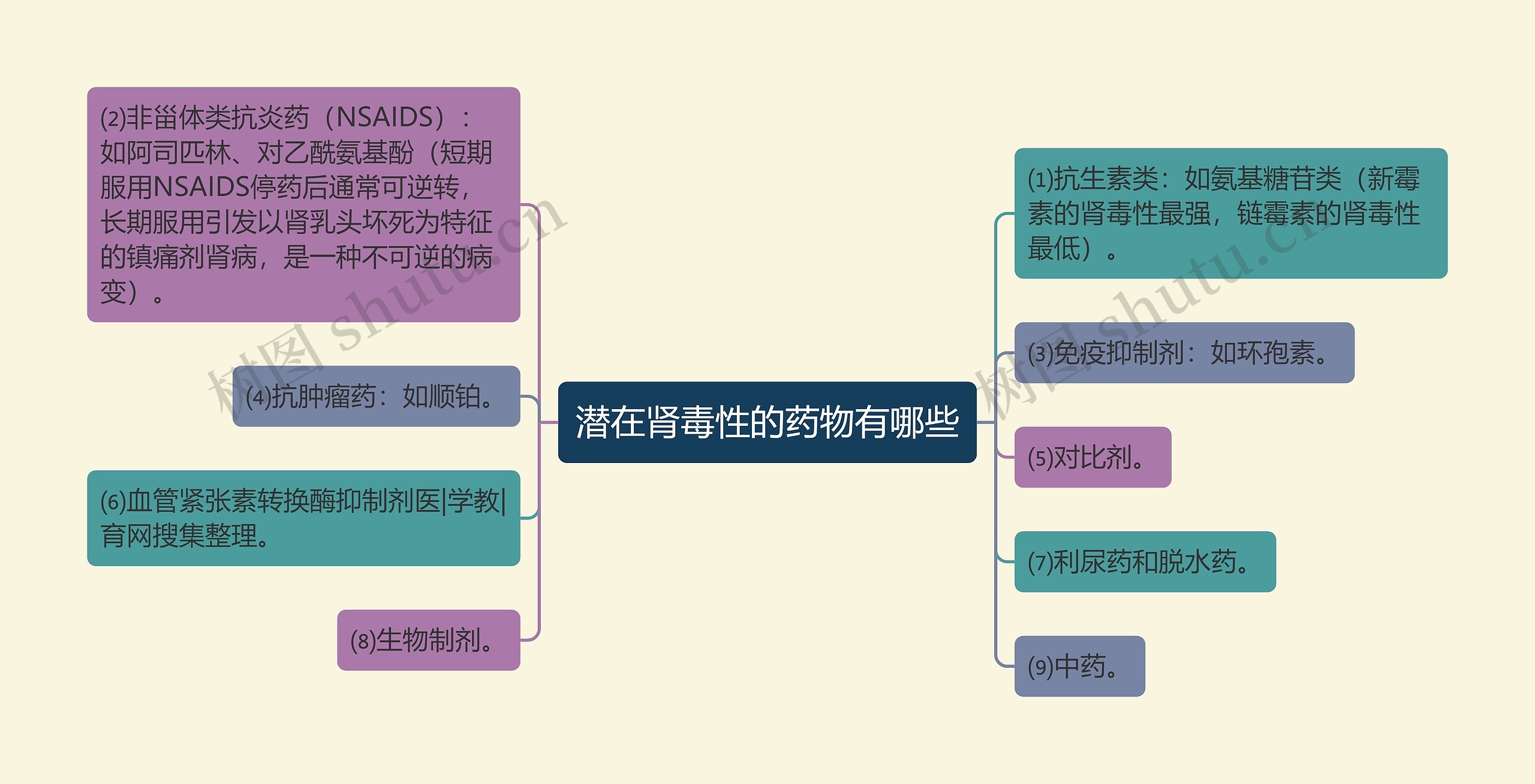 潜在肾毒性的药物有哪些思维导图