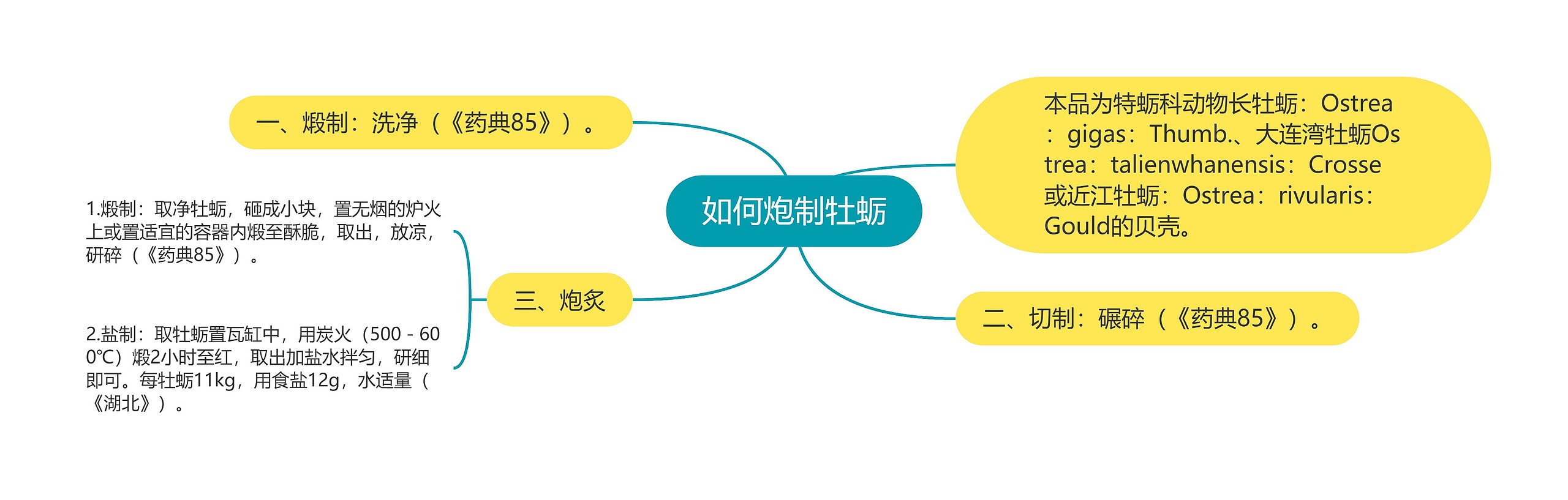 如何炮制牡蛎思维导图