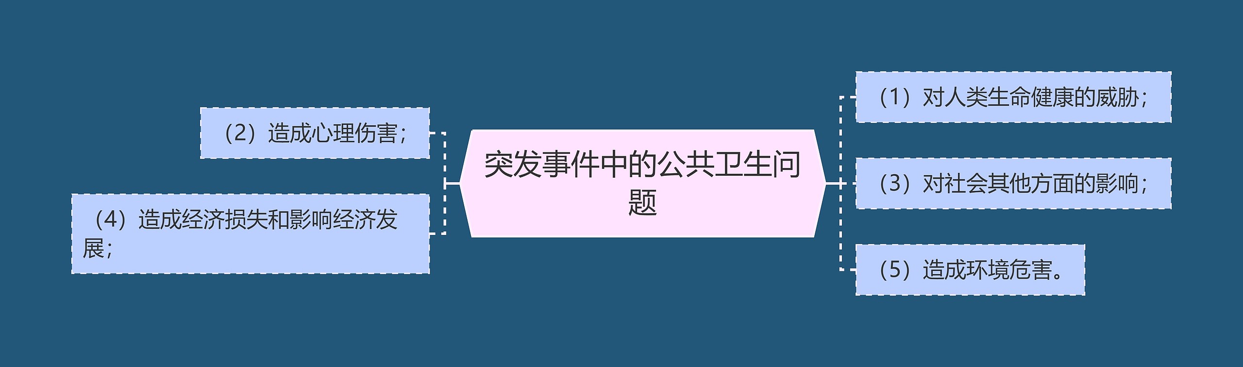 突发事件中的公共卫生问题思维导图