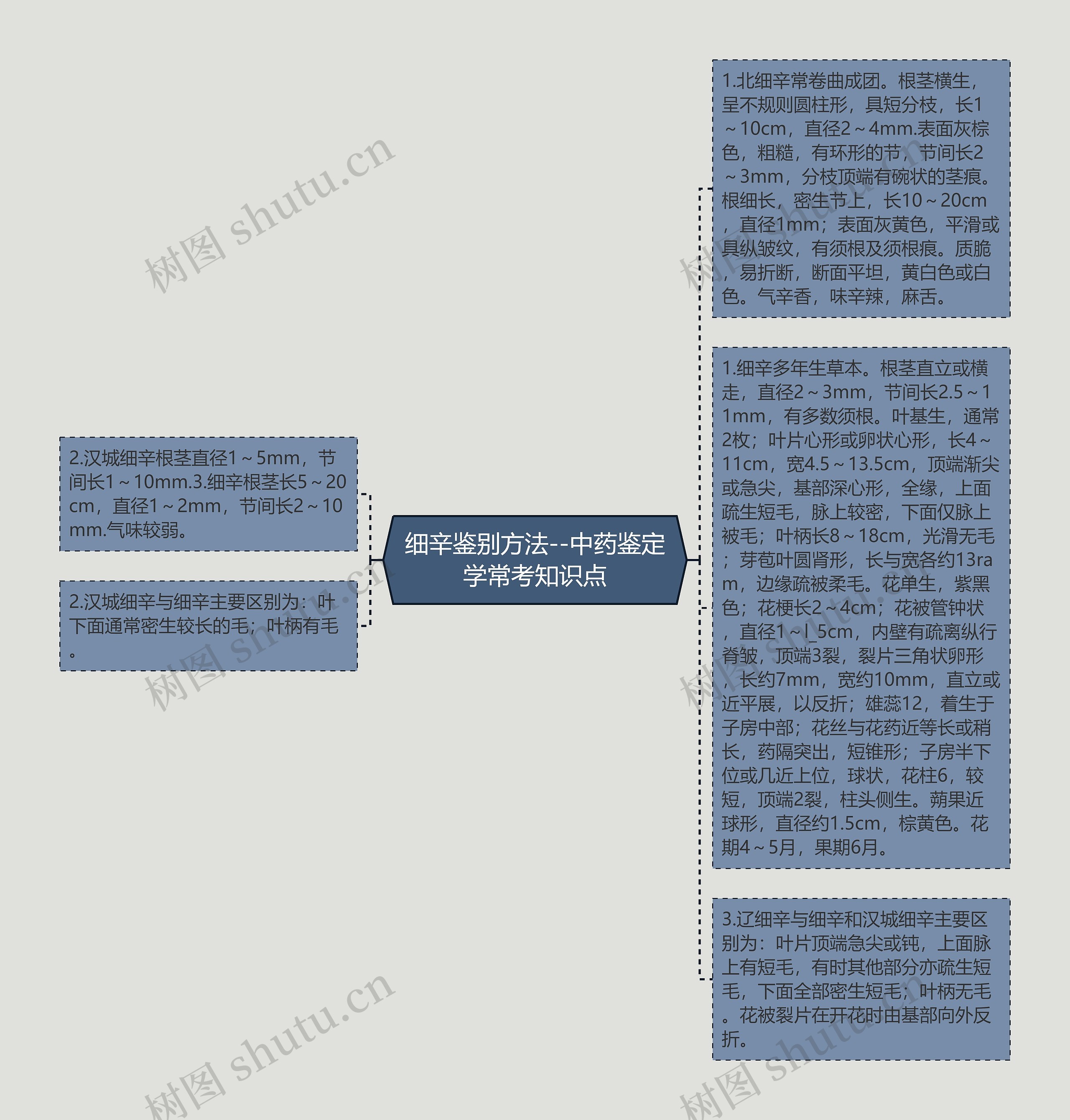 细辛鉴别方法--中药鉴定学常考知识点