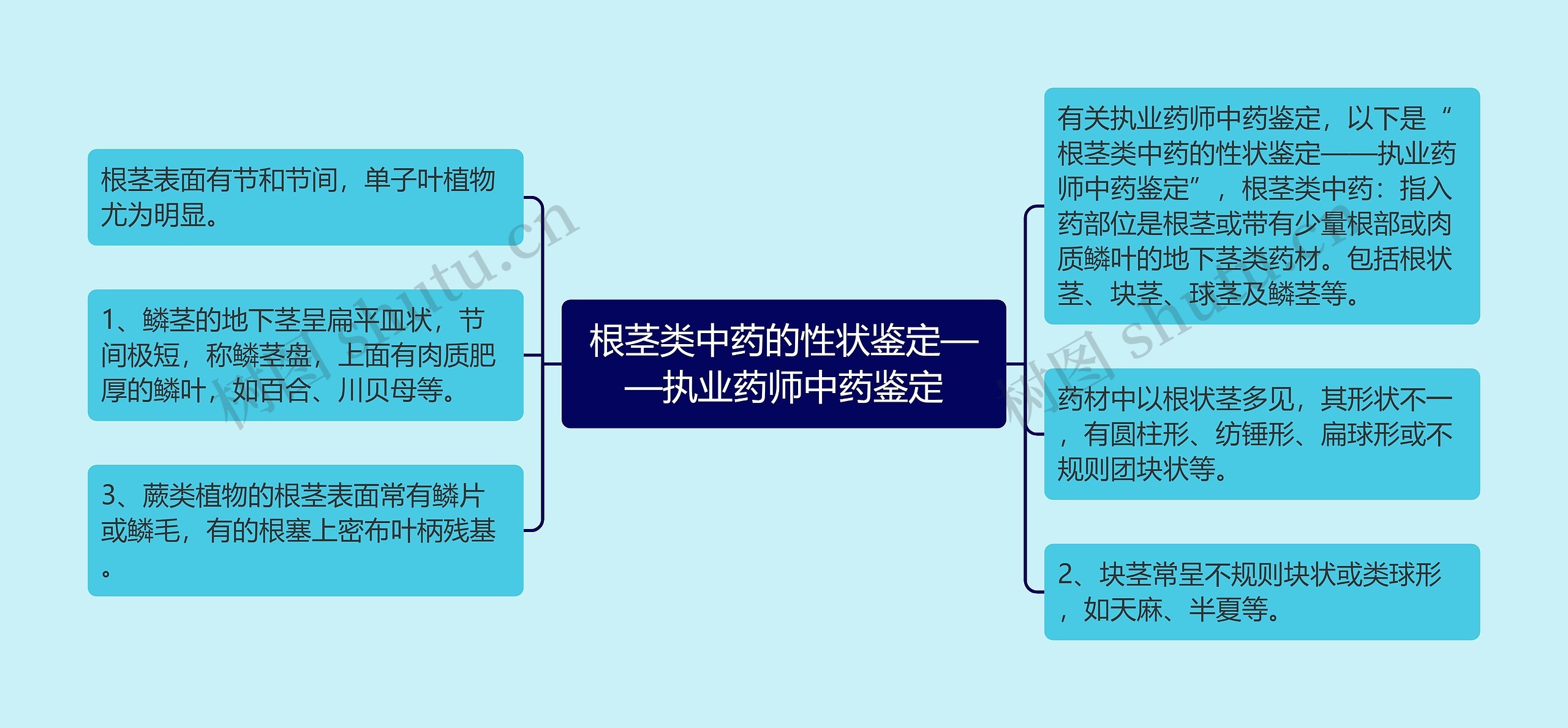 根茎类中药的性状鉴定——执业药师中药鉴定思维导图