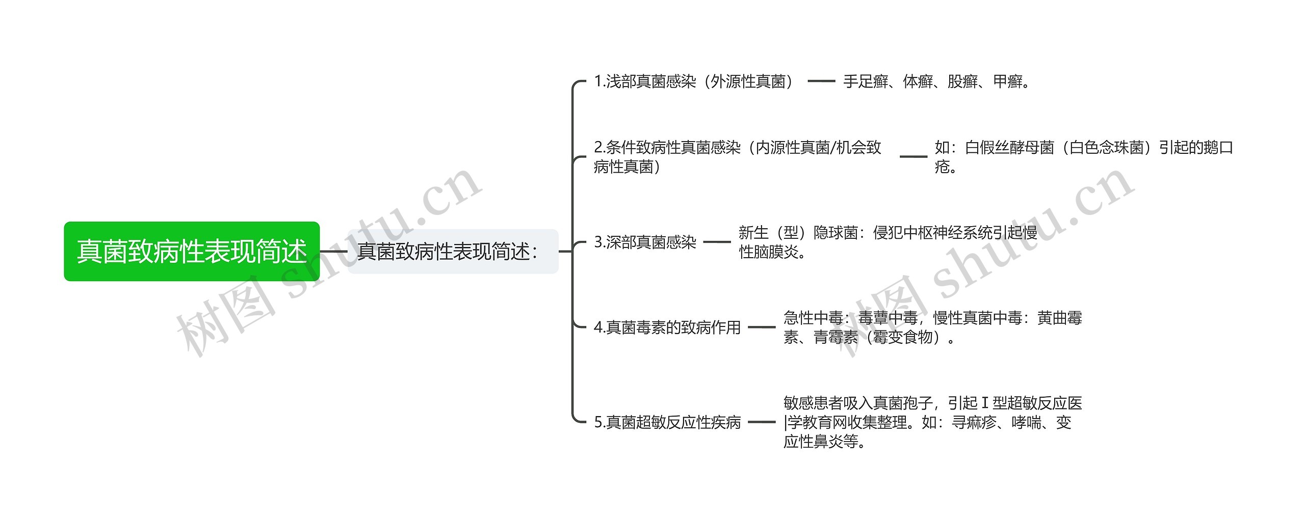 真菌致病性表现简述思维导图