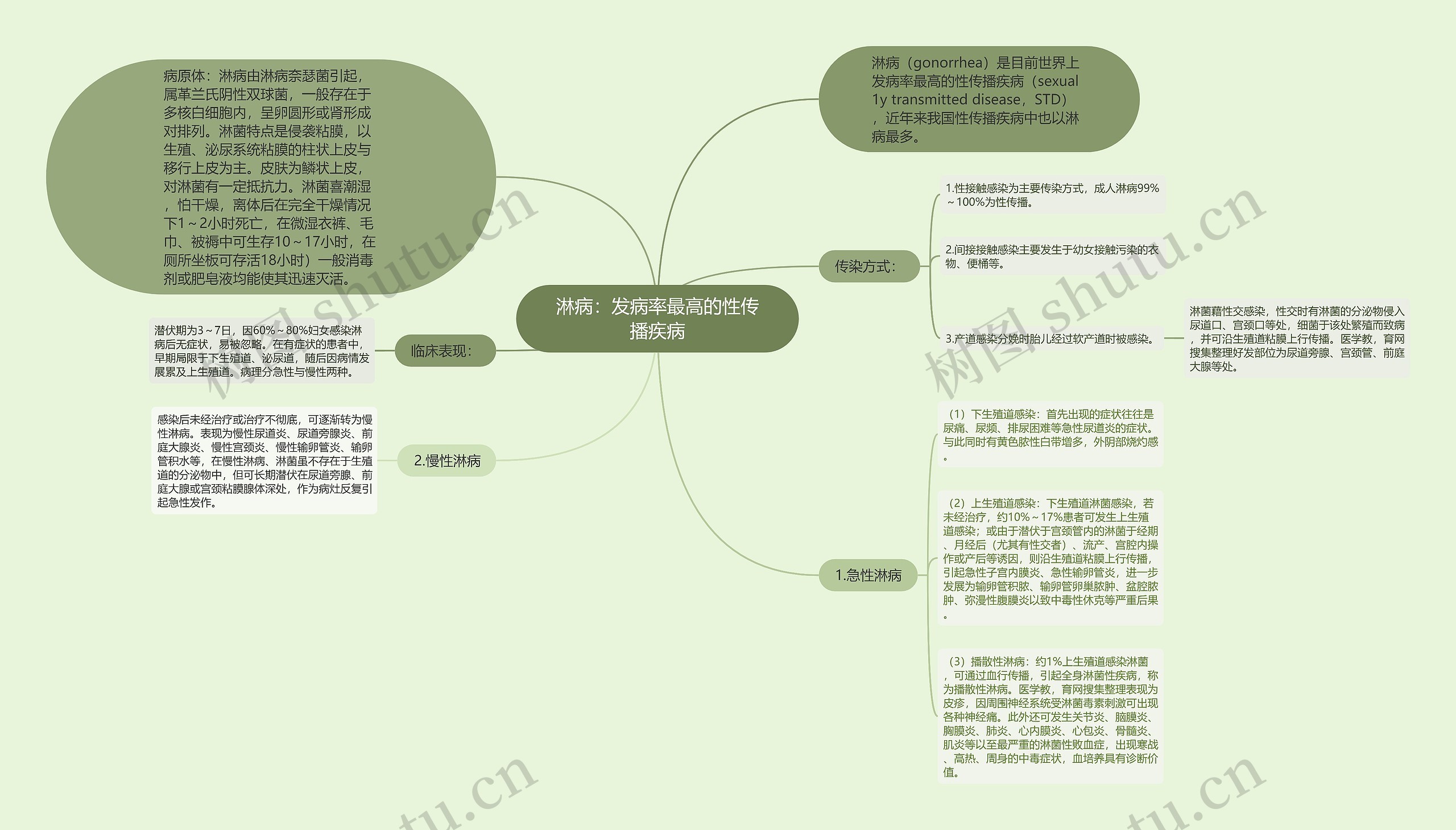 淋病：发病率最高的性传播疾病