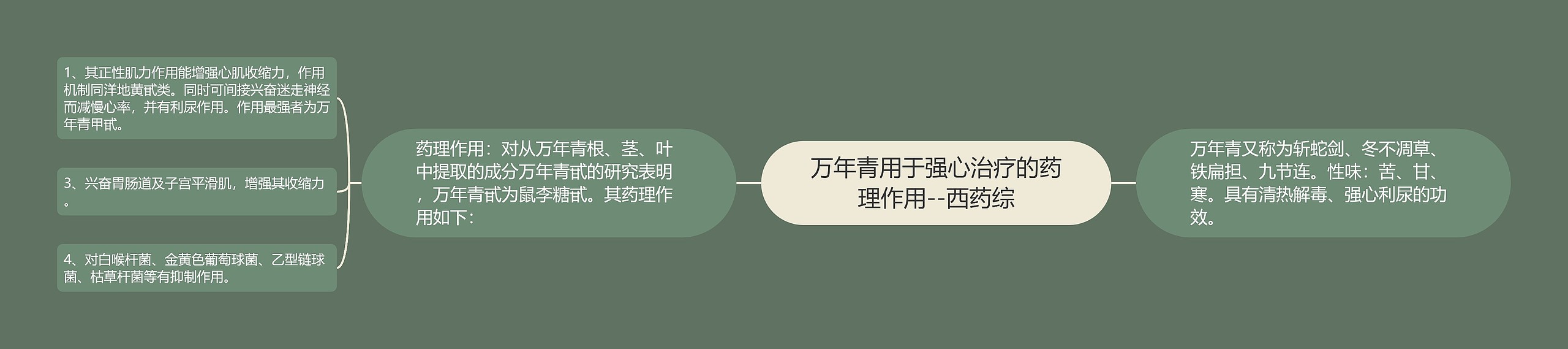 万年青用于强心治疗的药理作用--西药综 万年青用于强心治疗的药理作用--西药综